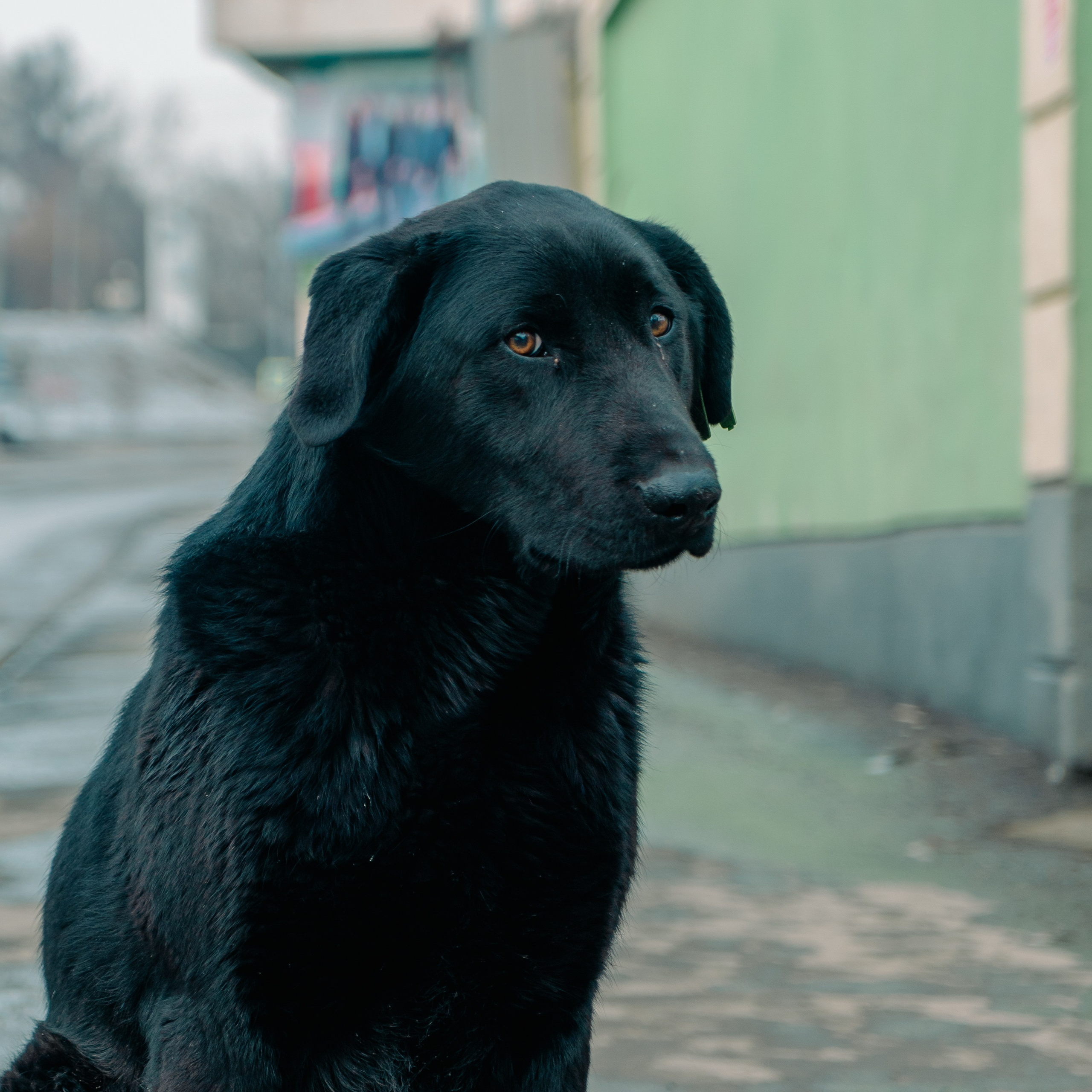 Иркутск и Байкал, Март 2024