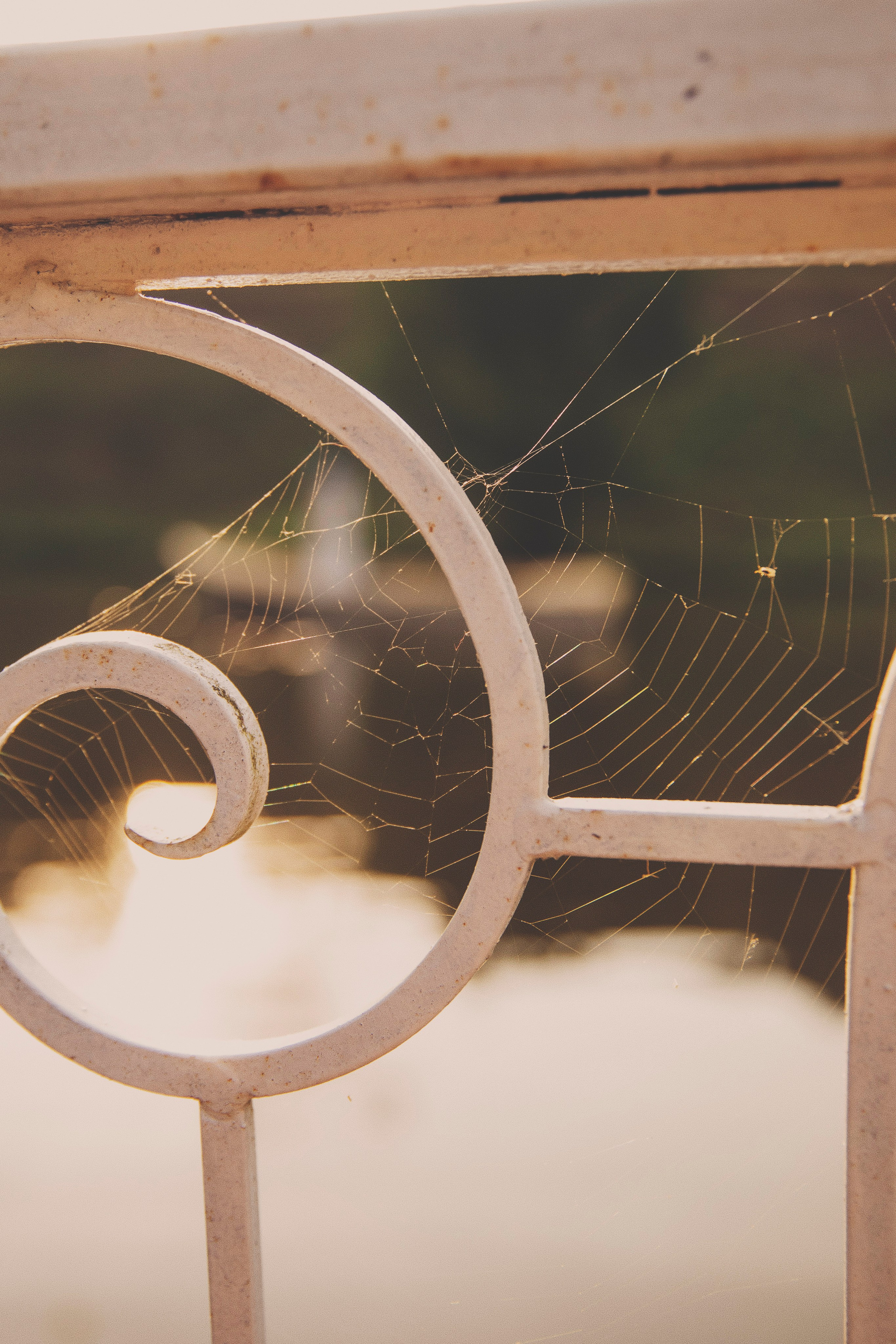 Вероника. Свадебный и семейный фотограф Колоскова Мария (Сочи и весь мир)