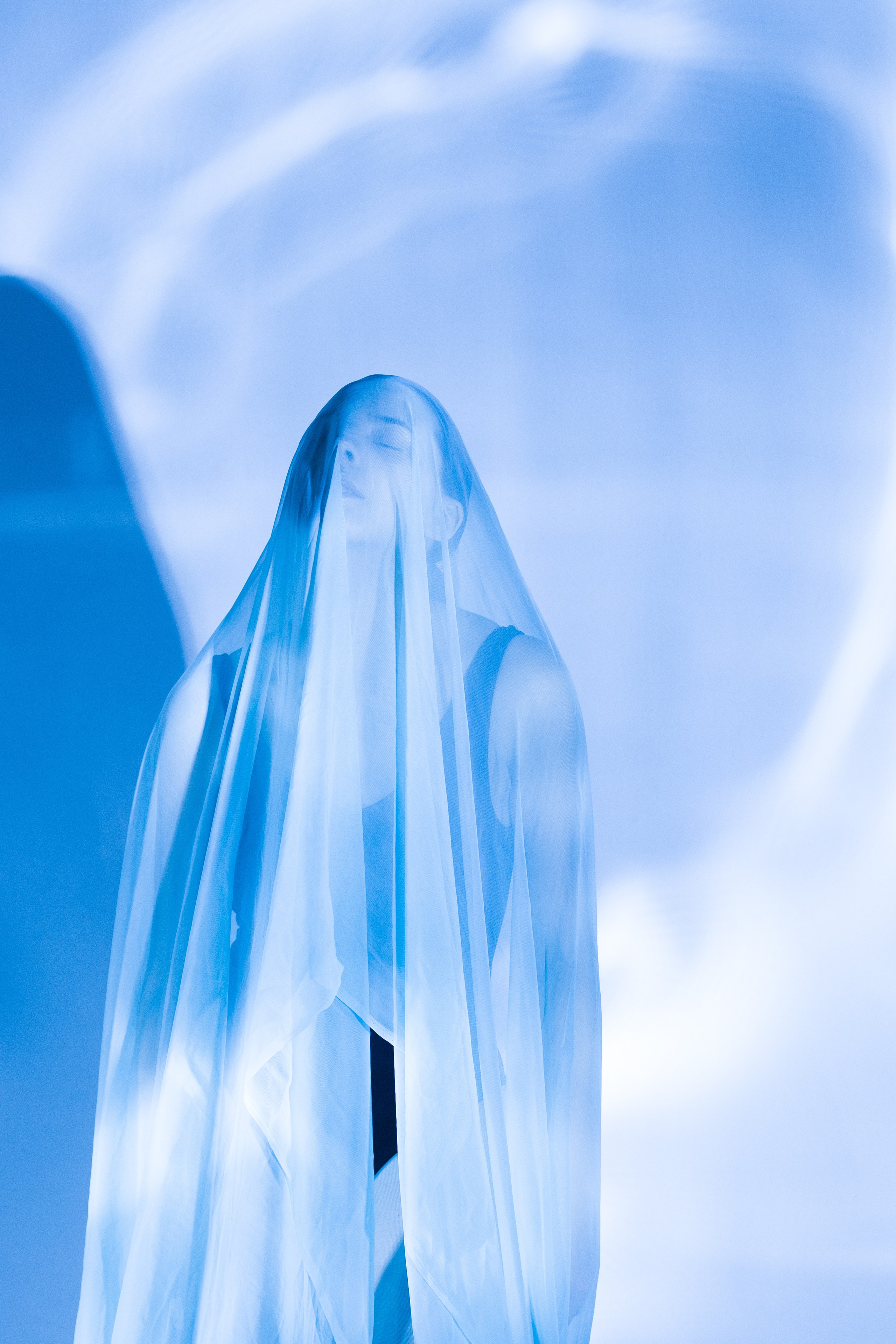 Лилия. Художественная фотография