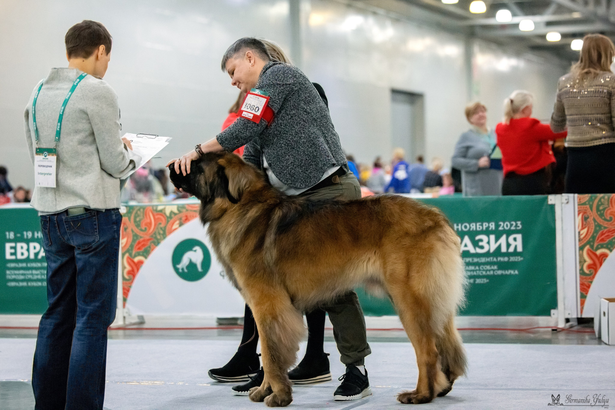 ЕВРАЗИЯ 18-19.11.2023. Фотограф-анималист Юлия Германика