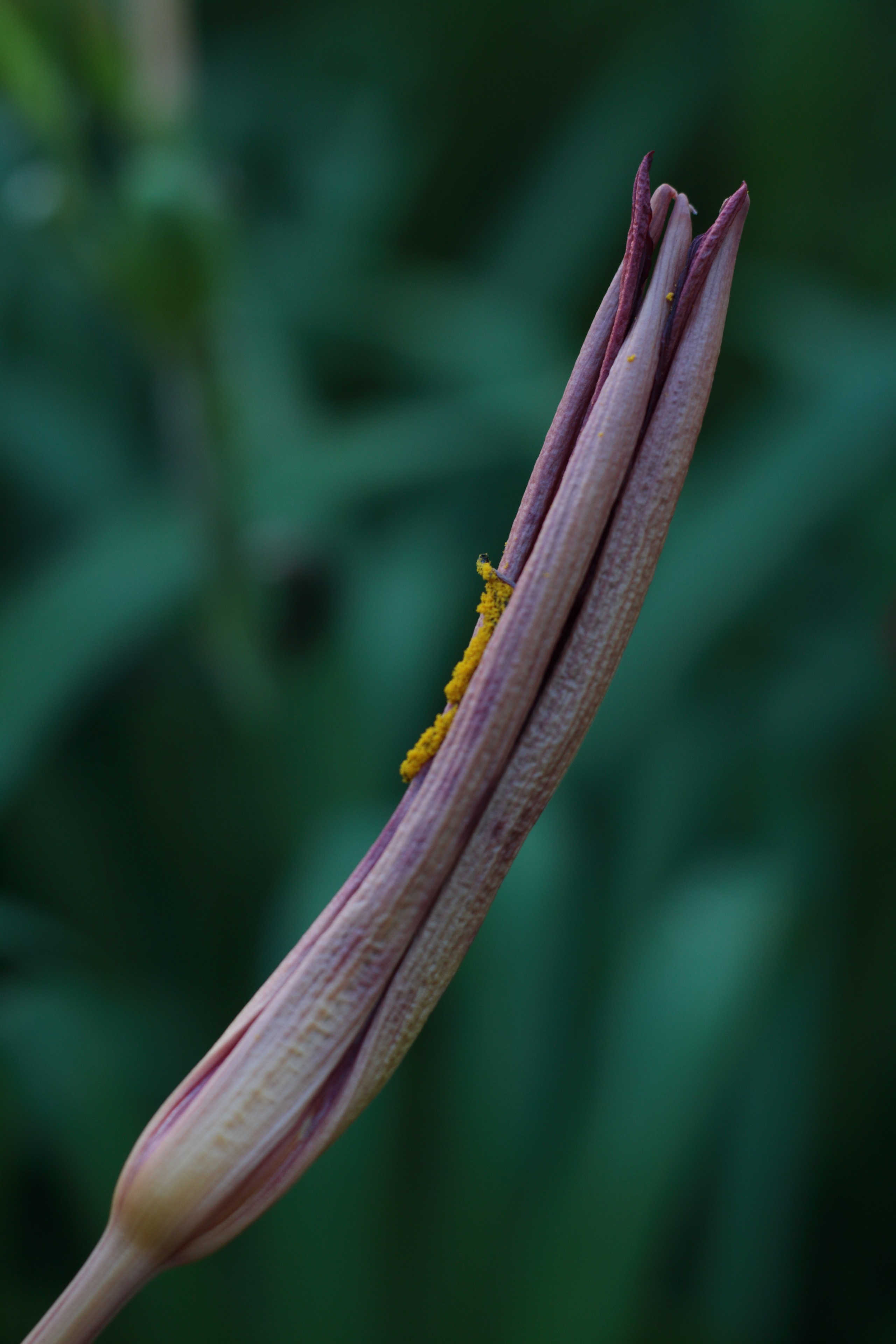 Старое природное, отбирала Katamount (Катерина Горохова). Главная