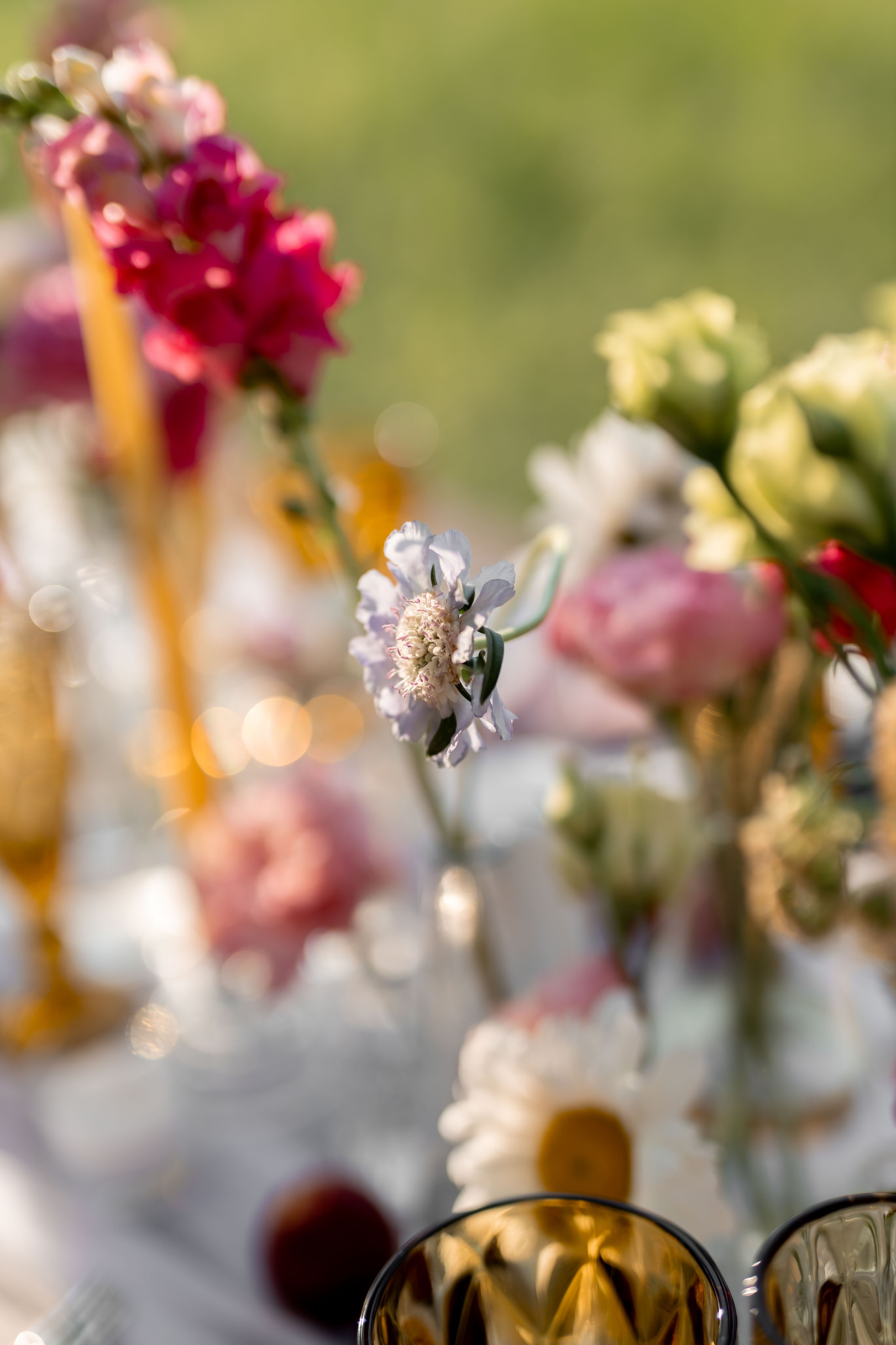 Роман и Ксюша. Лада Канана Свадебный и семейный фотограф