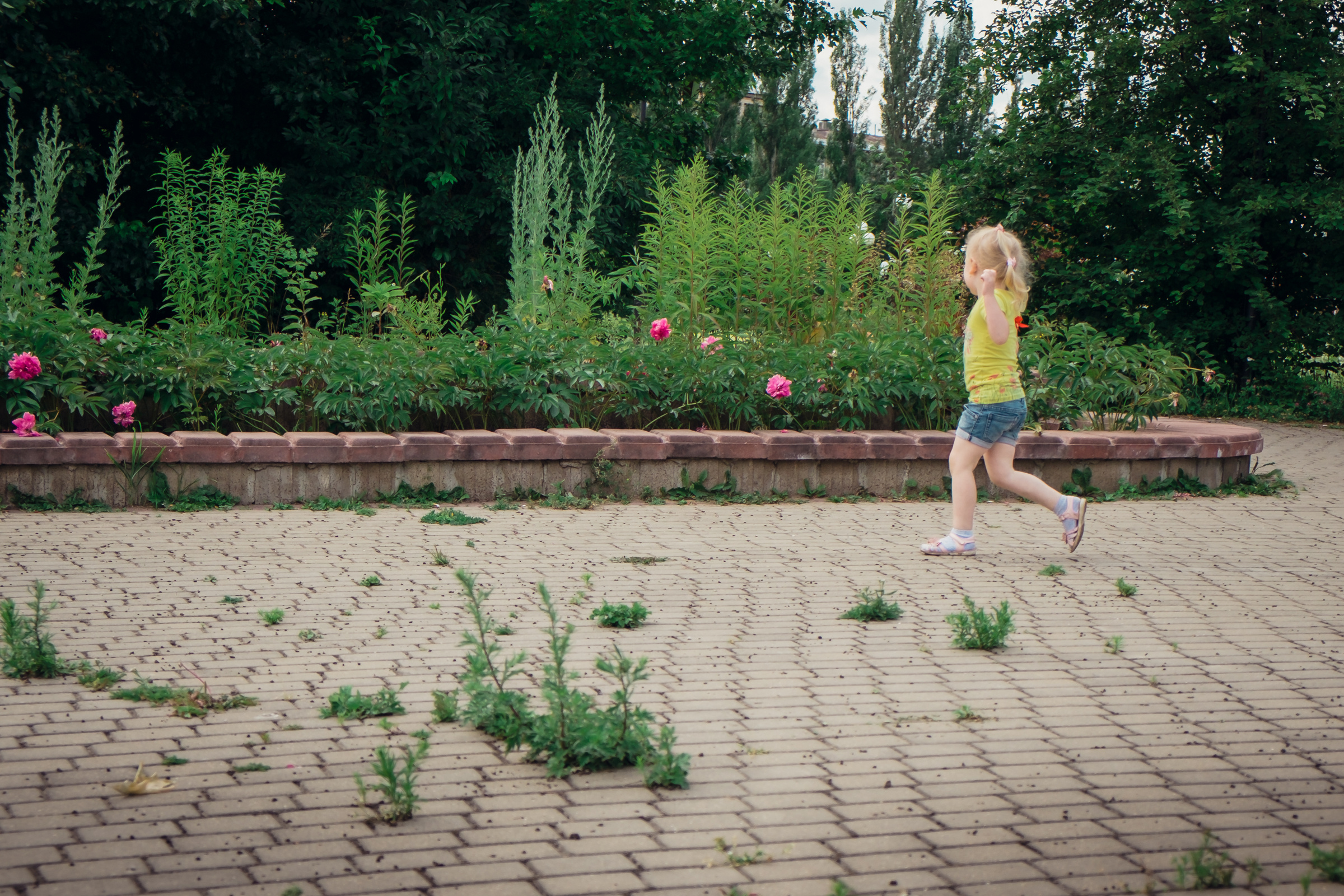 Главный ботанический сад. Видеограф и фотограф на свадьбу в Москве