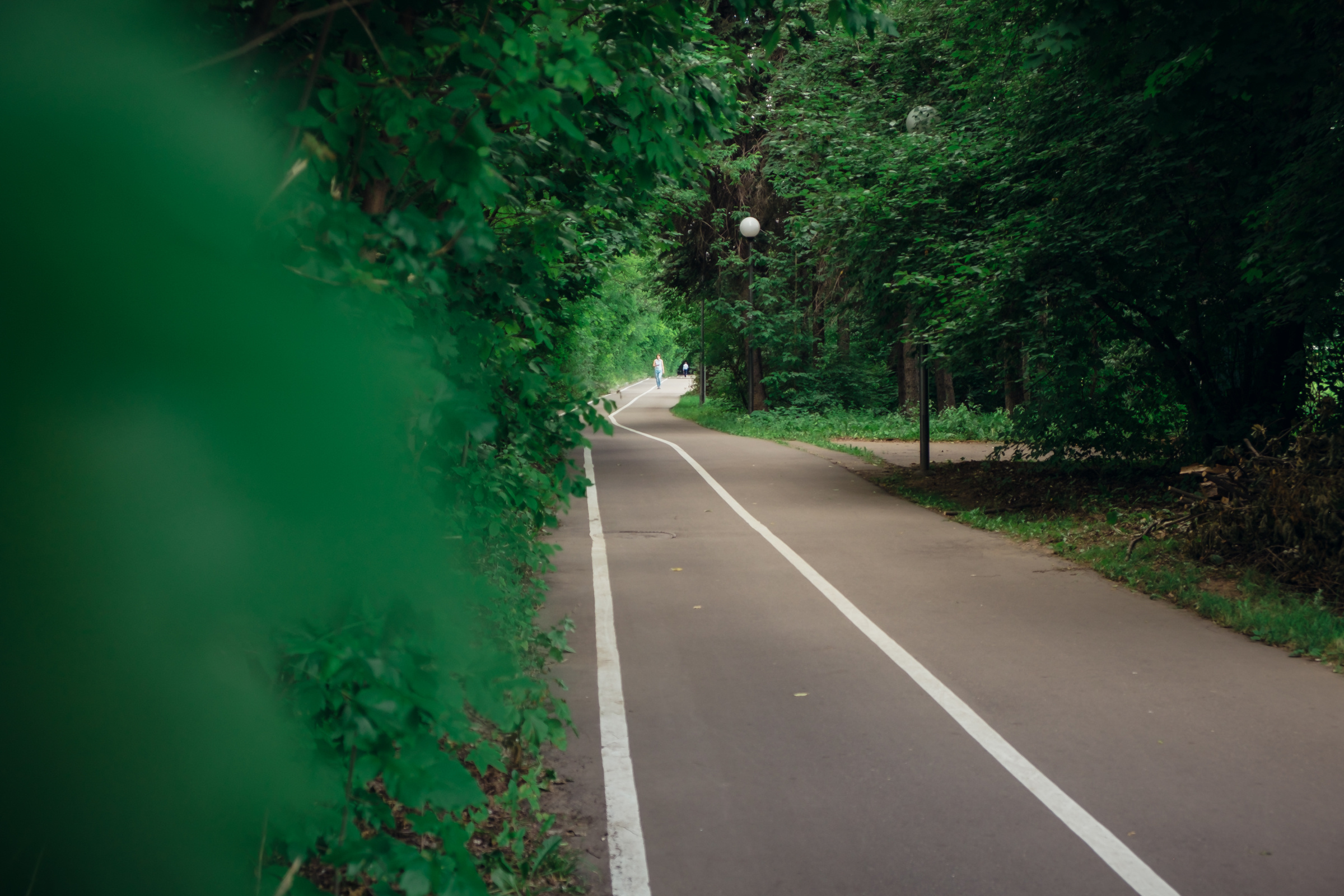 Главный ботанический сад. Видеограф и фотограф на свадьбу в Москве