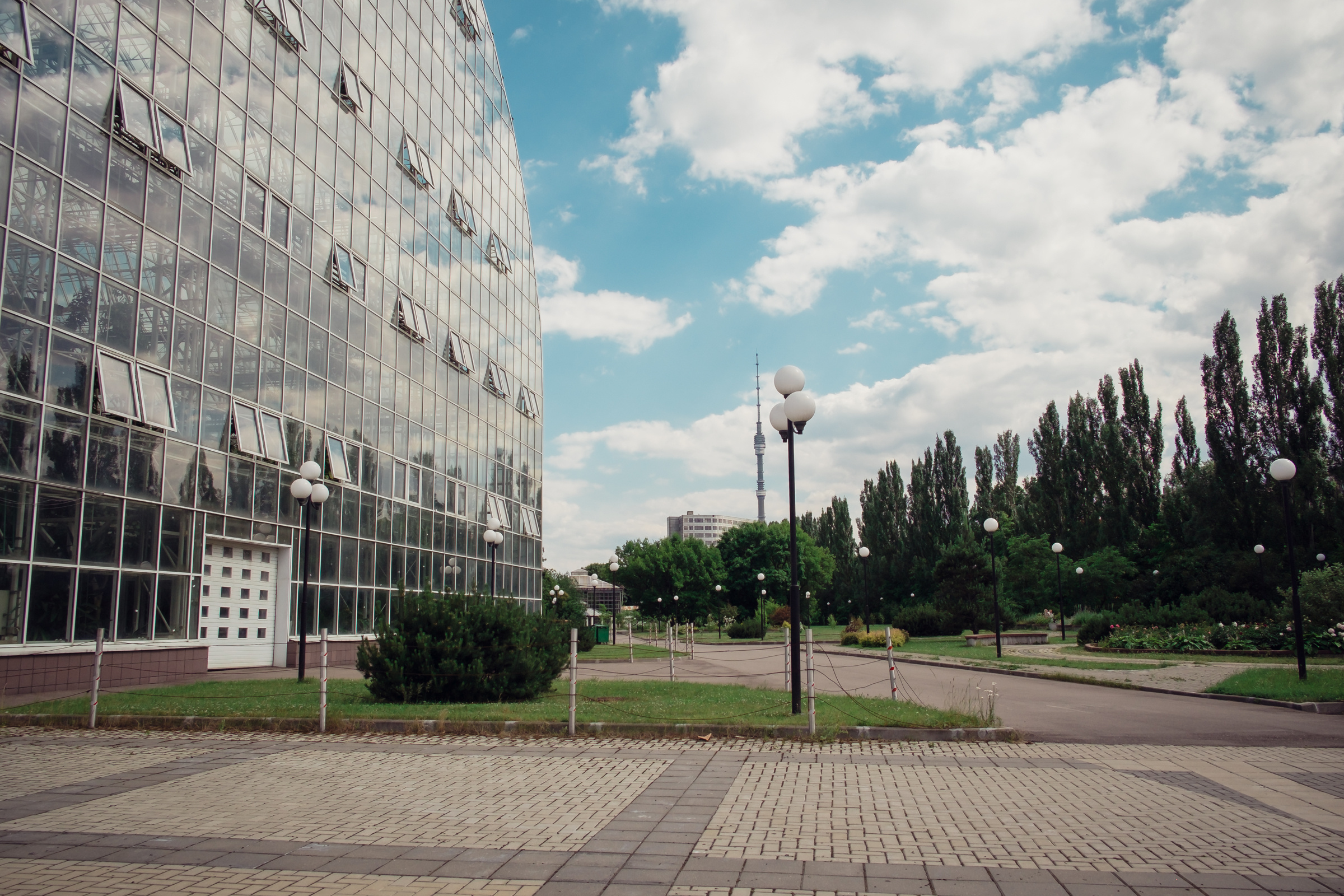 Главный ботанический сад. Видеограф и фотограф на свадьбу в Москве