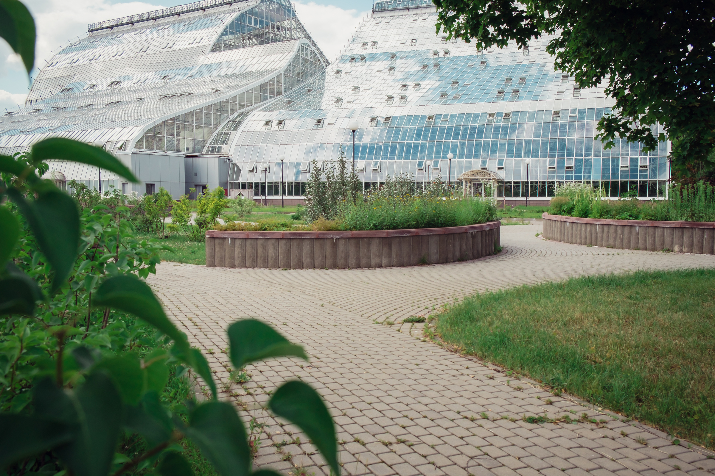 Главный ботанический сад. Видеограф и фотограф на свадьбу в Москве