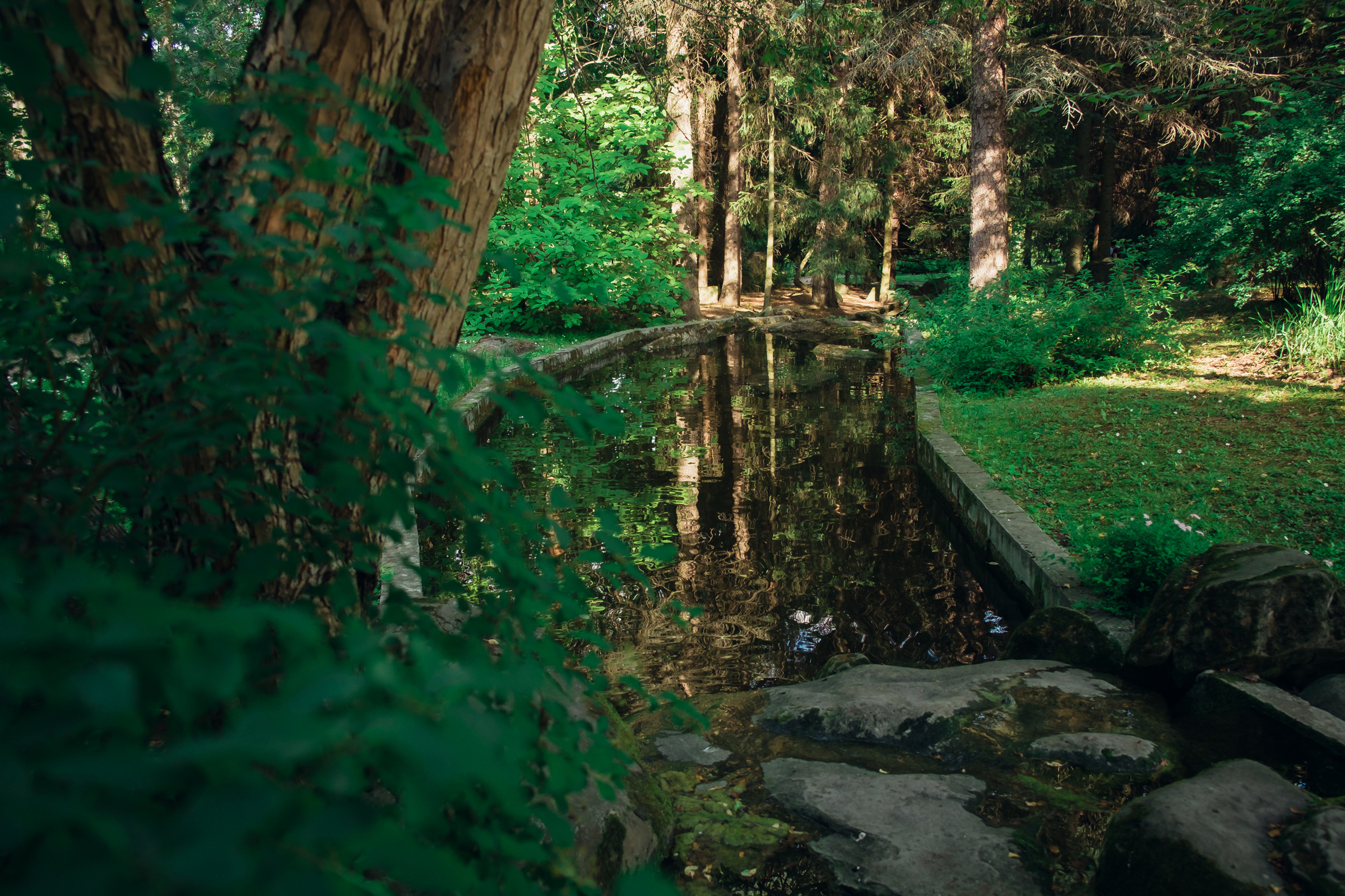 Главный ботанический сад. Видеограф и фотограф на свадьбу в Москве