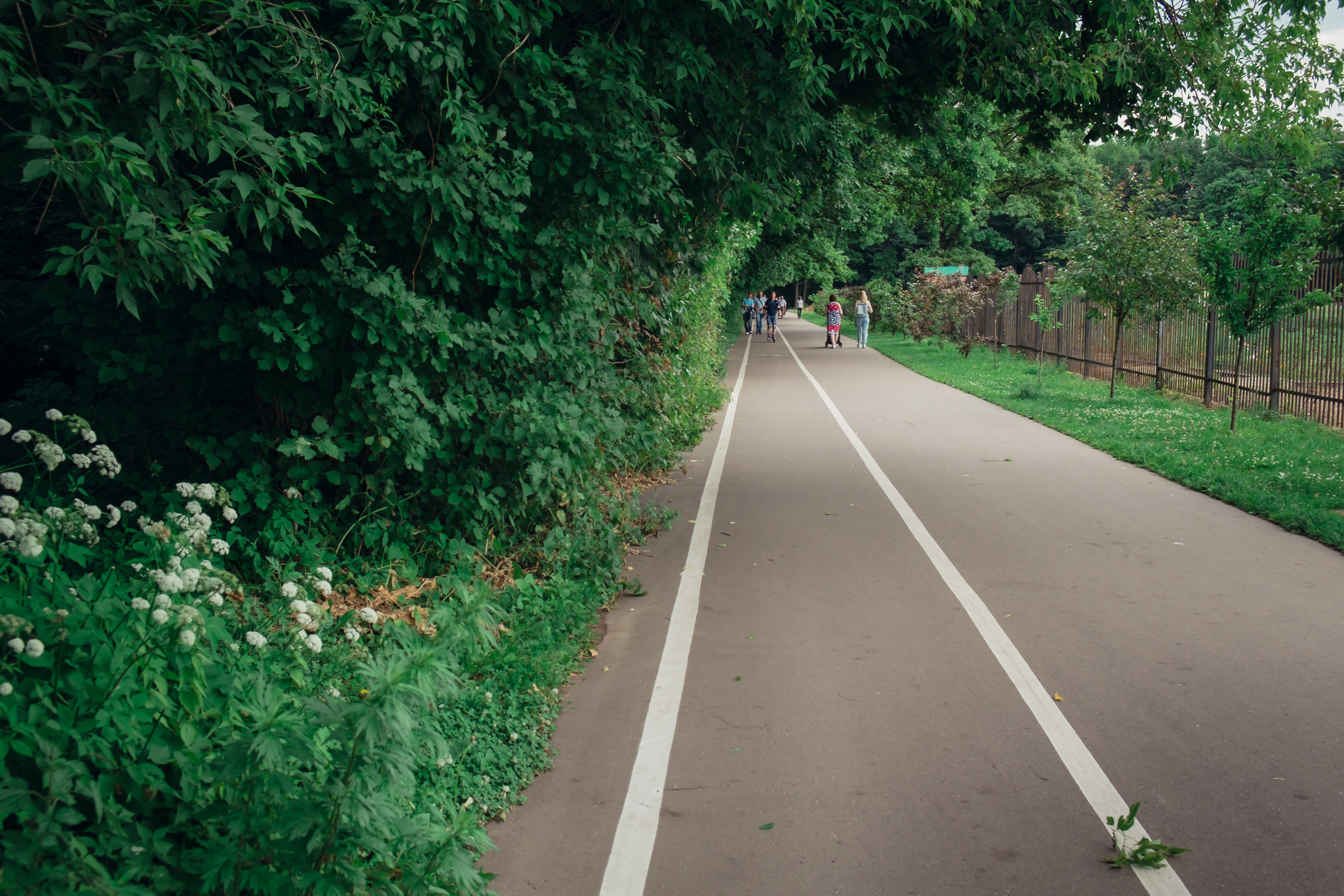 Главный ботанический сад. Видеограф и фотограф на свадьбу в Москве