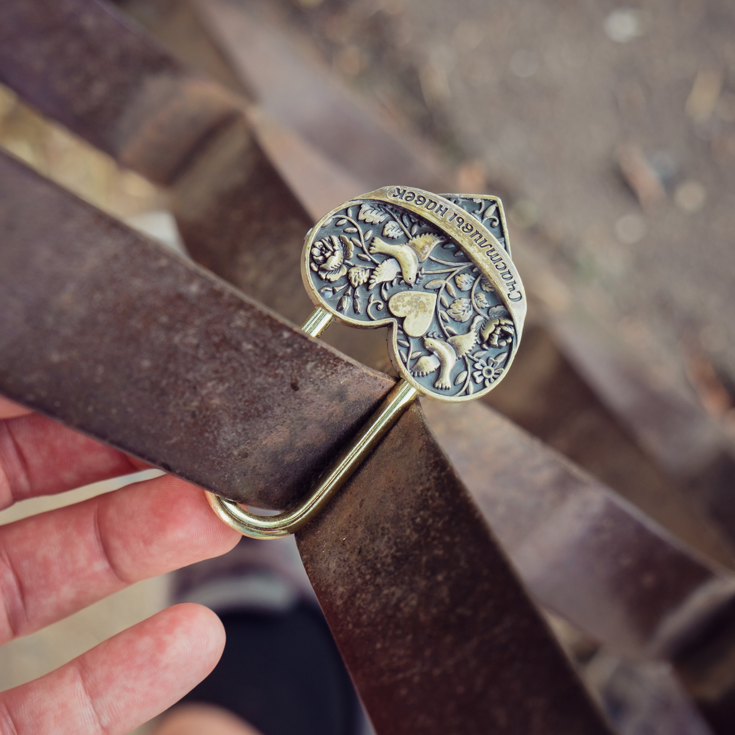 Главный ботанический сад. Видеограф и фотограф на свадьбу в Москве