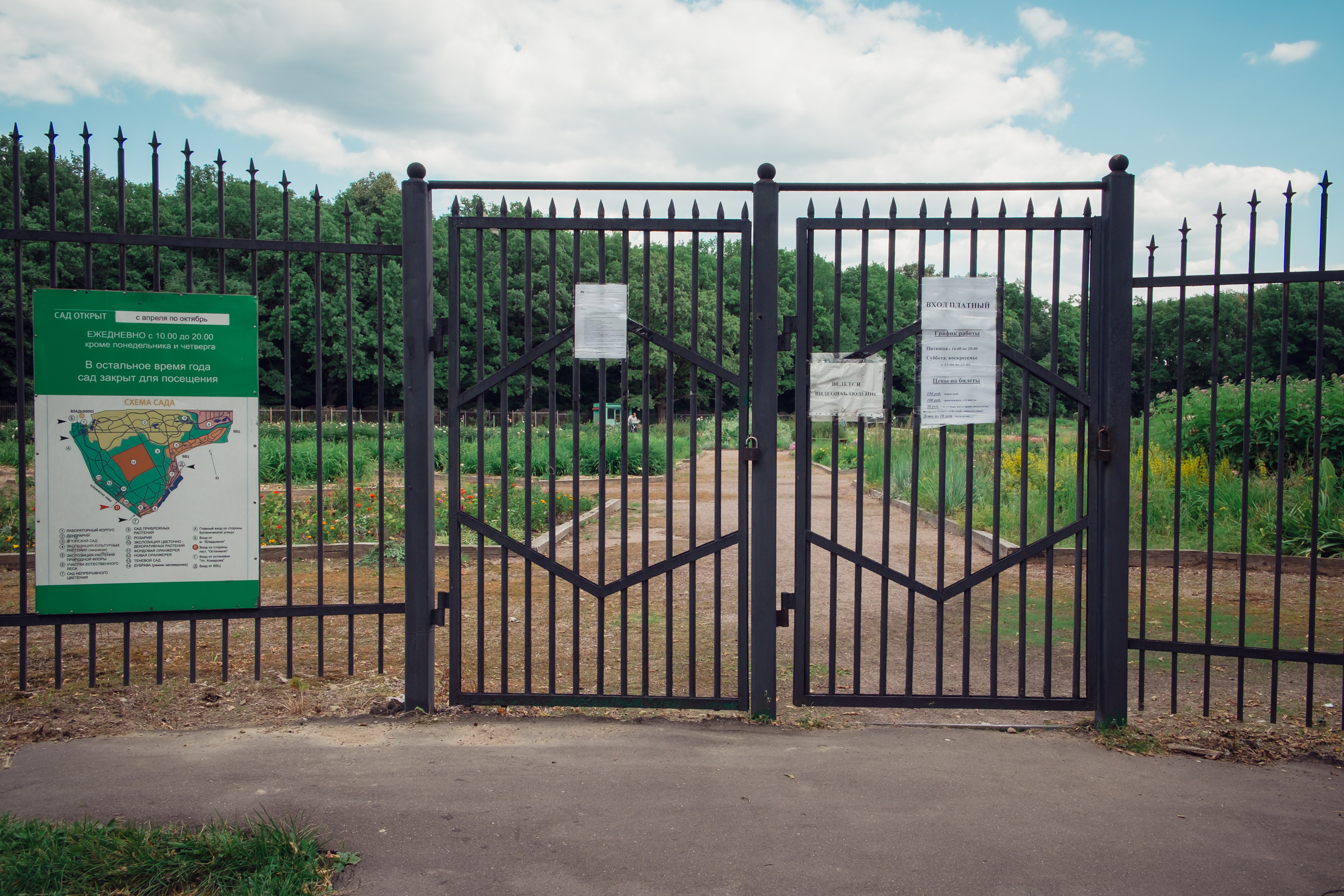 Главный ботанический сад. Видеограф и фотограф на свадьбу в Москве