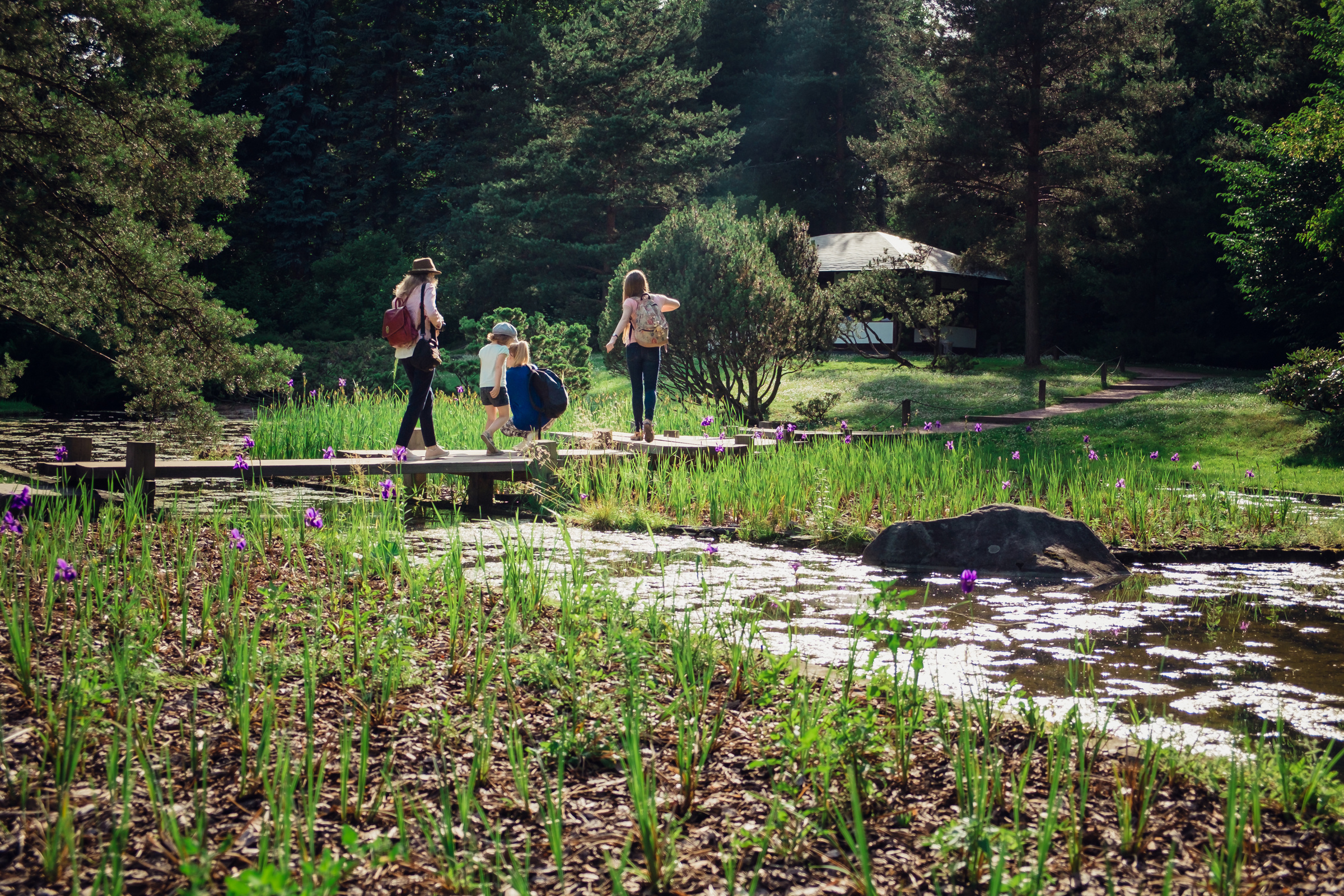 Главный ботанический сад. Видеограф и фотограф на свадьбу в Москве