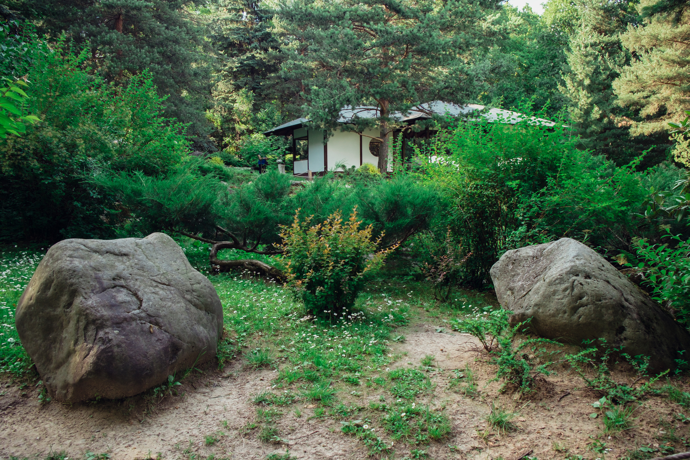 Главный ботанический сад. Видеограф и фотограф на свадьбу в Москве