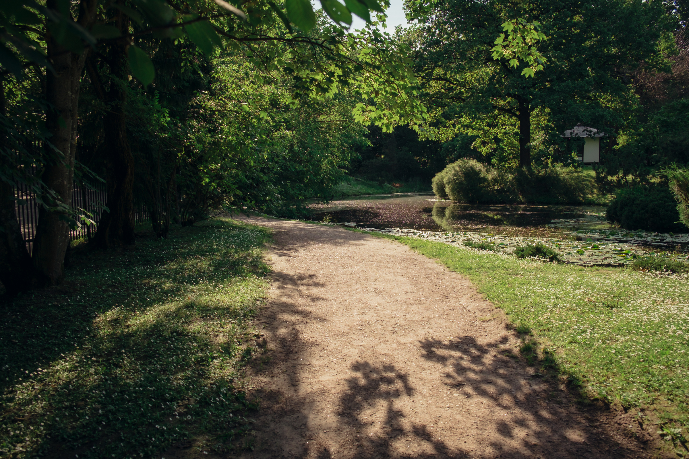 Главный ботанический сад. Видеограф и фотограф на свадьбу в Москве