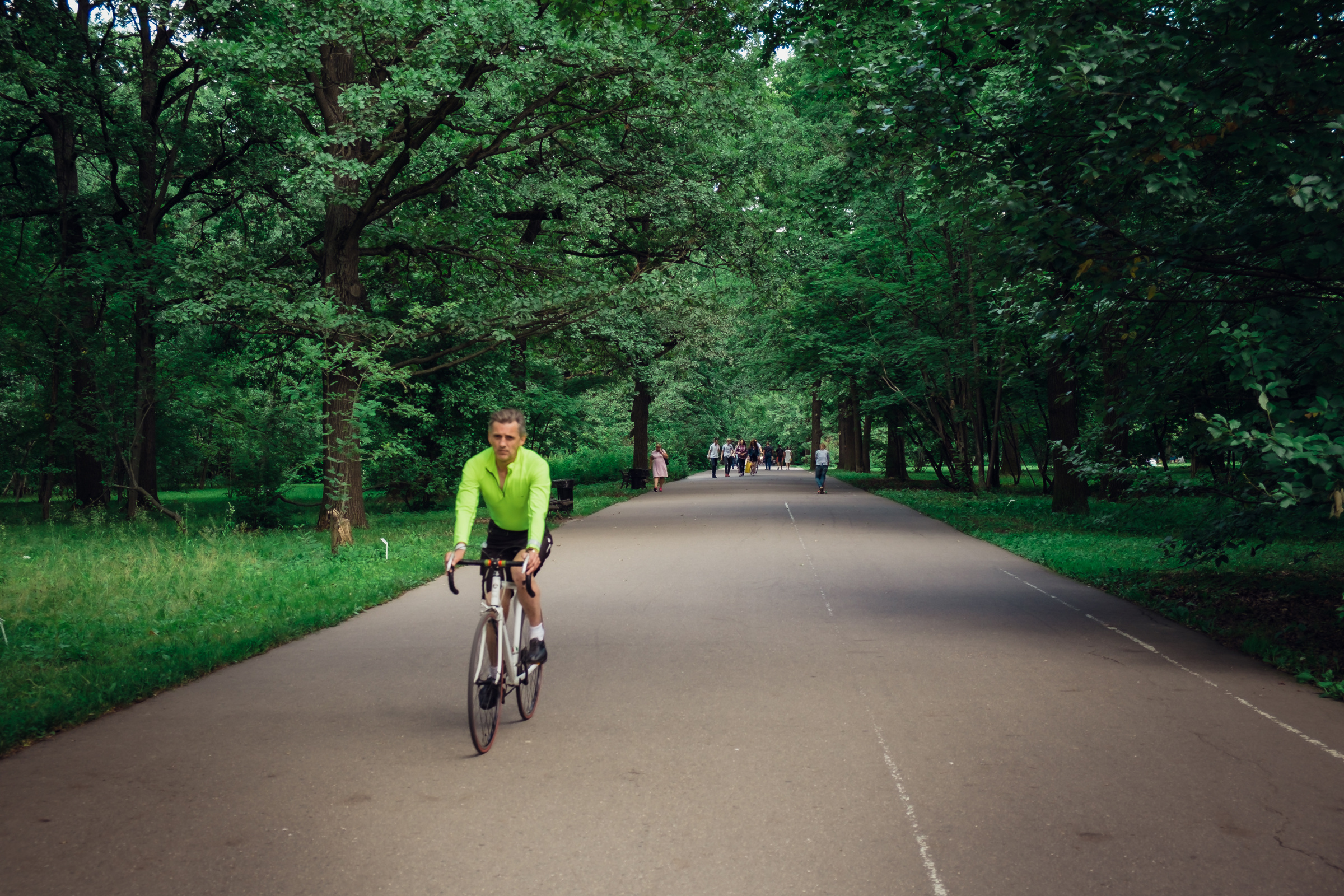 Главный ботанический сад. Видеограф и фотограф на свадьбу в Москве
