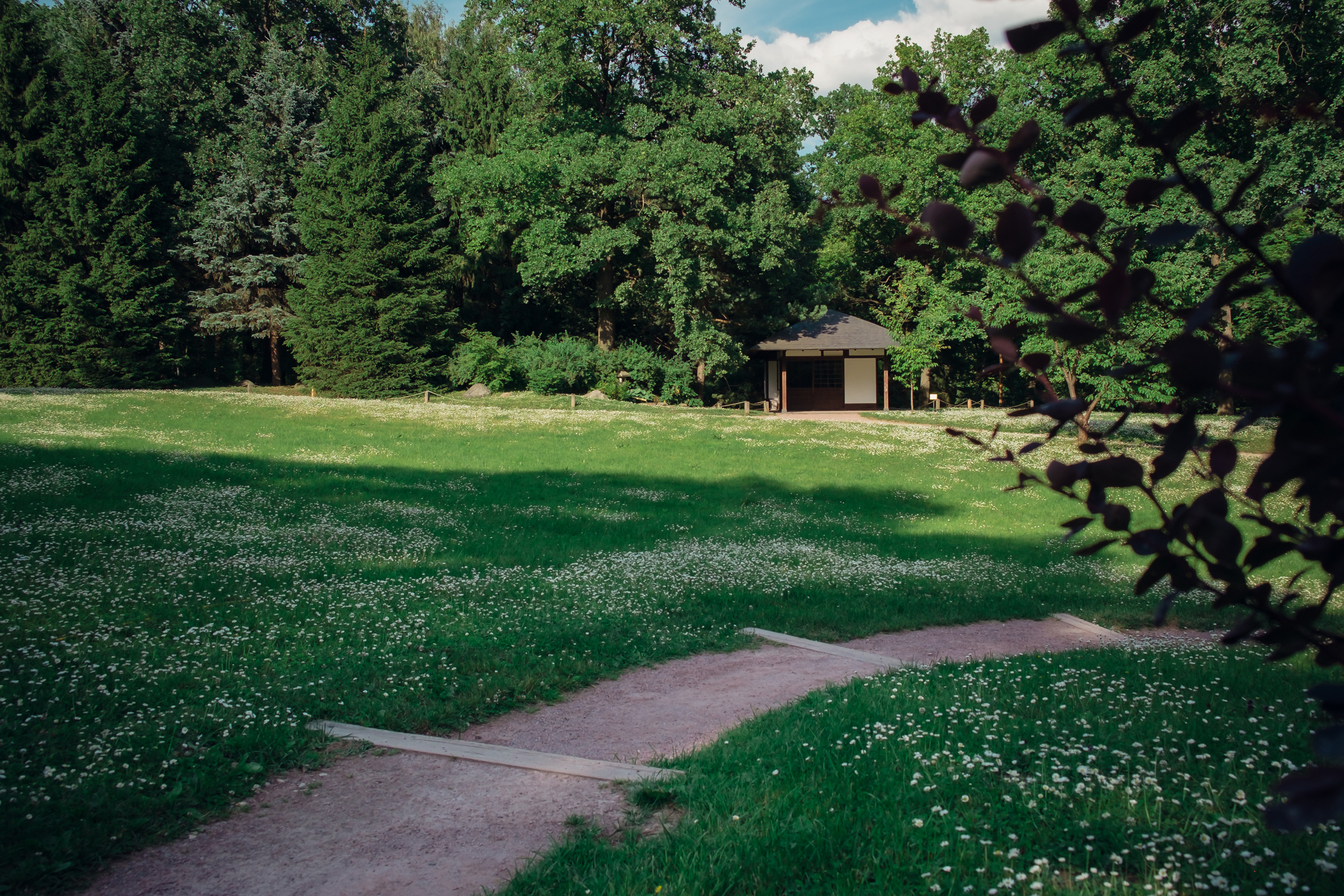 Главный ботанический сад. Видеограф и фотограф на свадьбу в Москве
