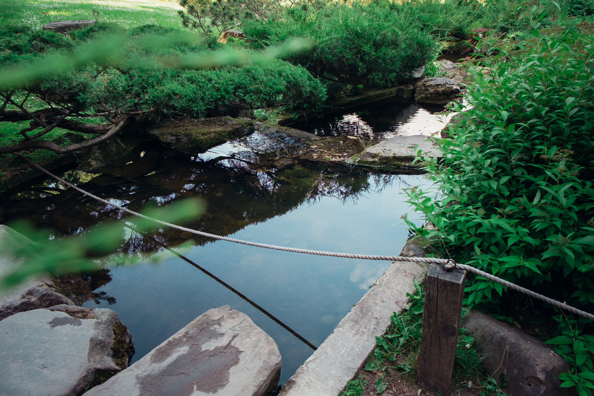 Главный ботанический сад. Видеограф и фотограф на свадьбу в Москве