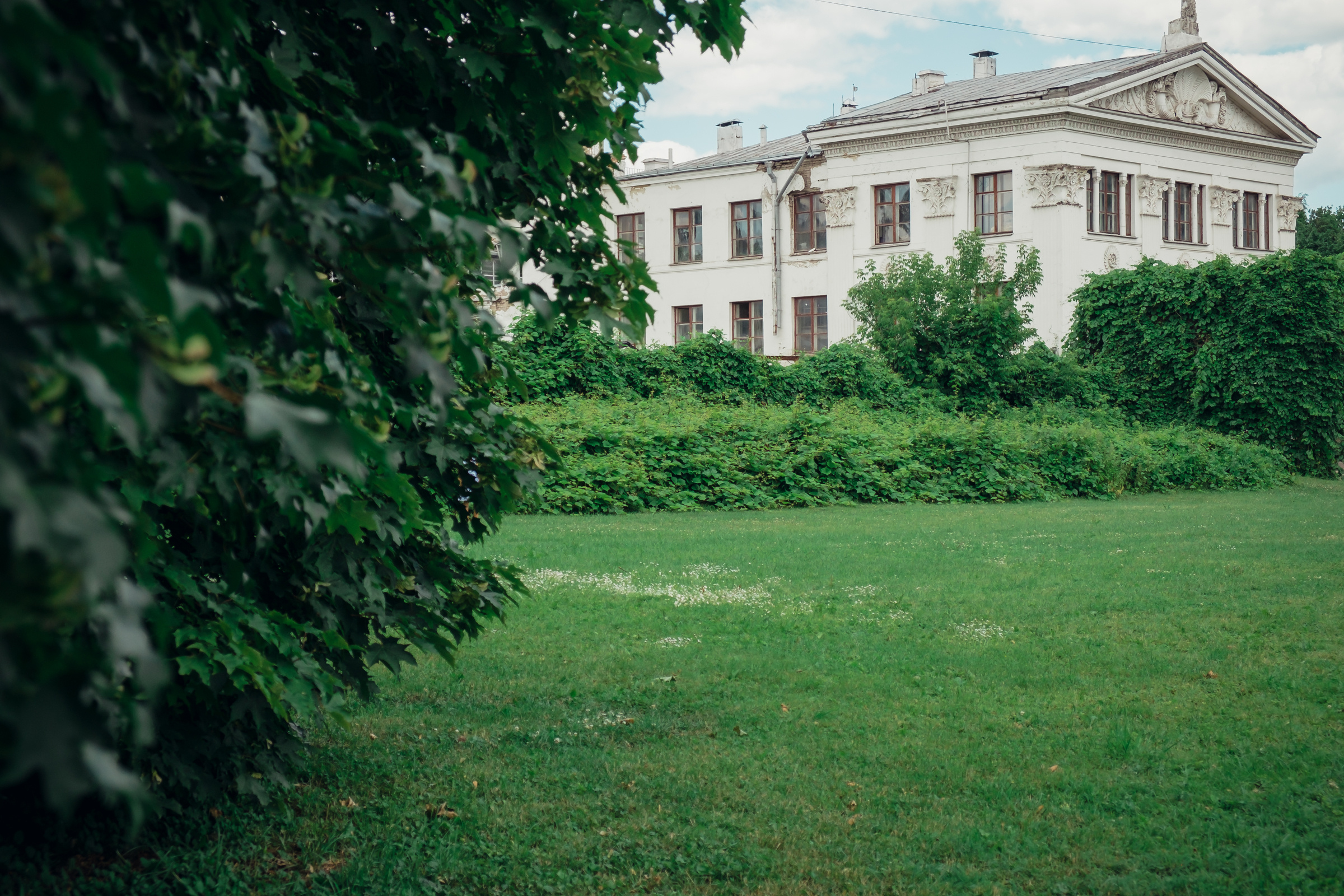 Главный ботанический сад. Видеограф и фотограф на свадьбу в Москве