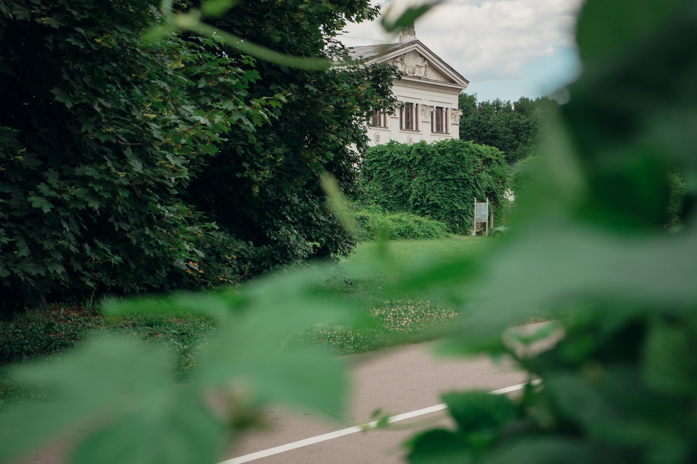 Главный ботанический сад. Видеограф и фотограф на свадьбу в Москве