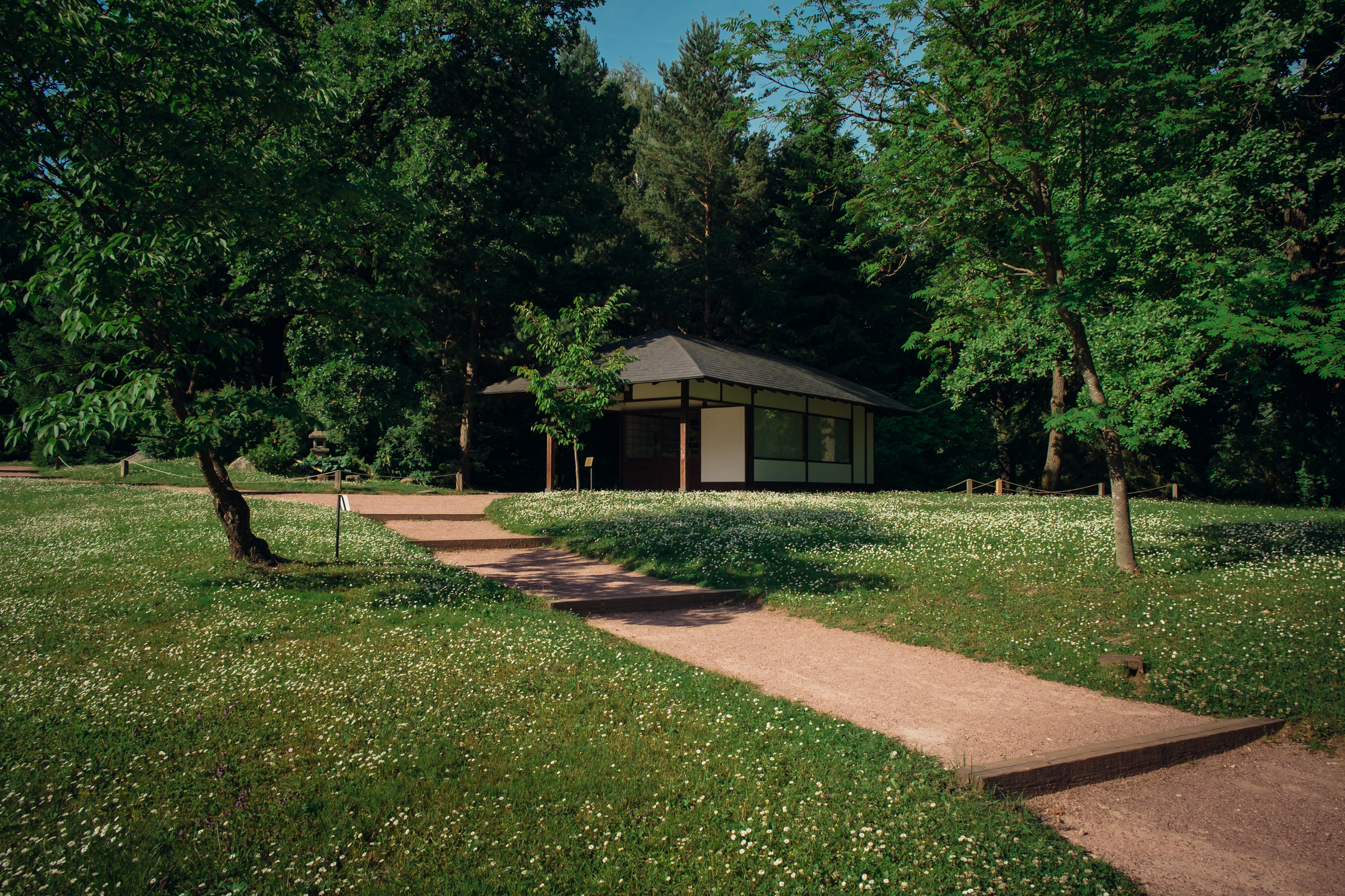 Главный ботанический сад. Видеограф и фотограф на свадьбу в Москве