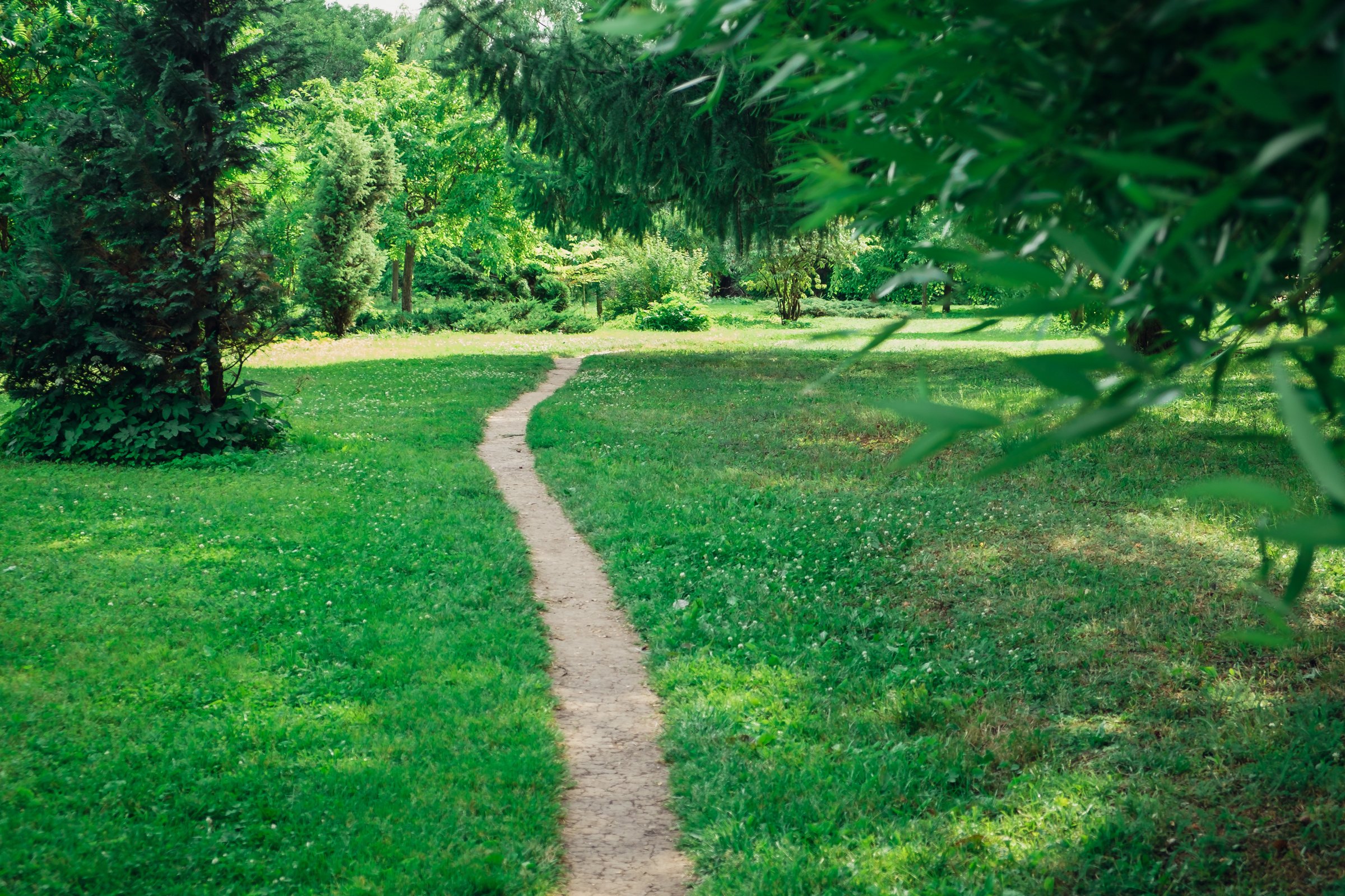 Главный ботанический сад. Видеограф и фотограф на свадьбу в Москве