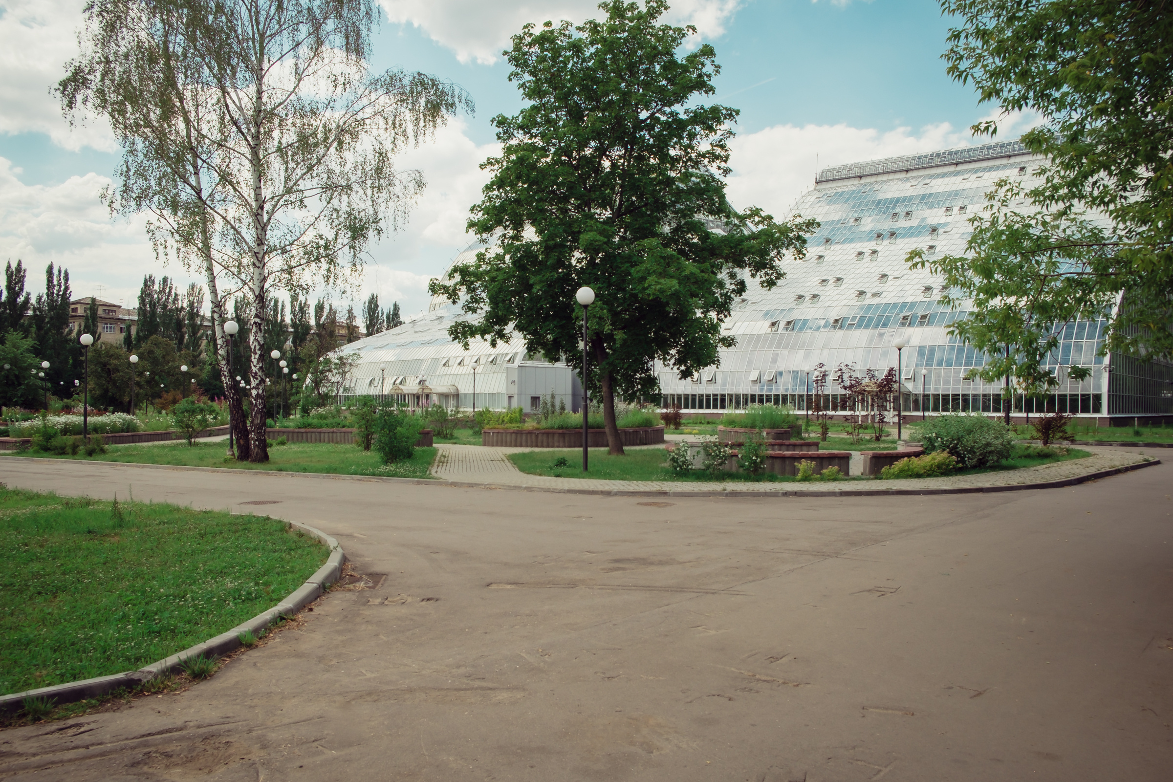 Главный ботанический сад. Видеограф и фотограф на свадьбу в Москве