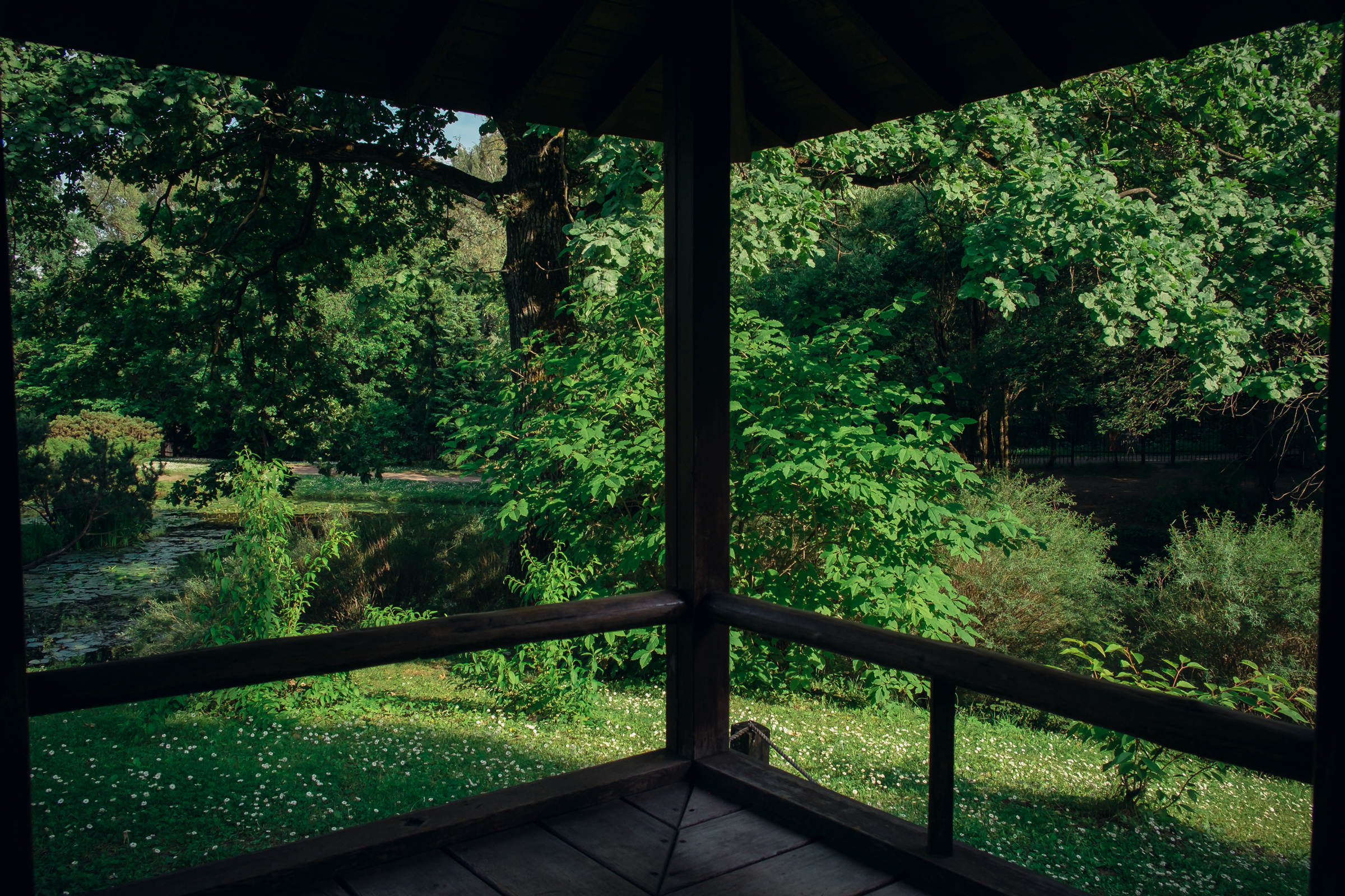 Главный ботанический сад. Видеограф и фотограф на свадьбу в Москве