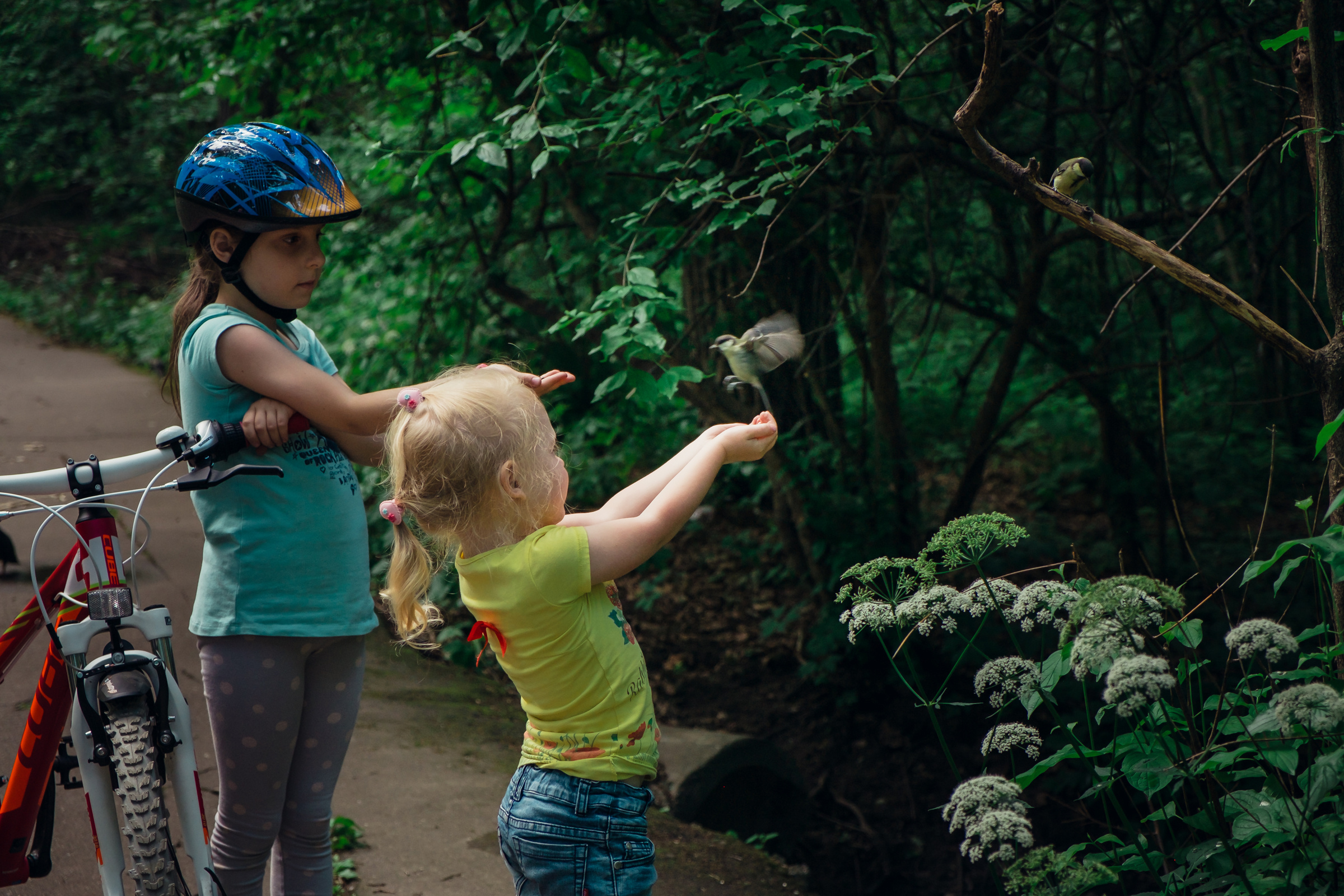Главный ботанический сад. Видеограф и фотограф на свадьбу в Москве
