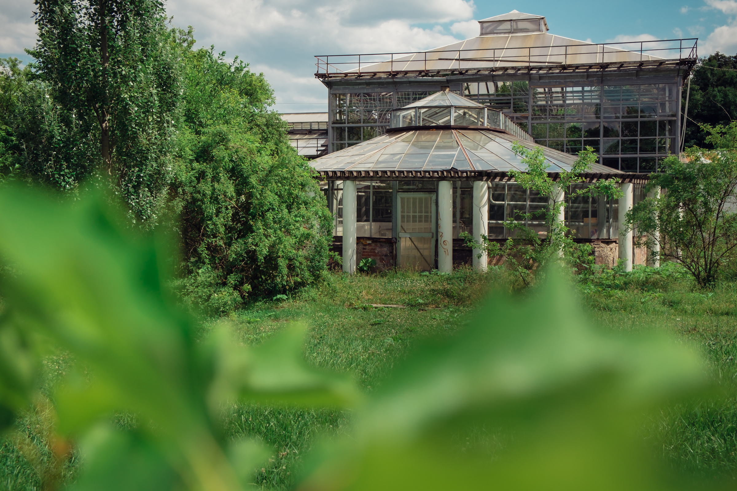 Главный ботанический сад. Видеограф и фотограф на свадьбу в Москве