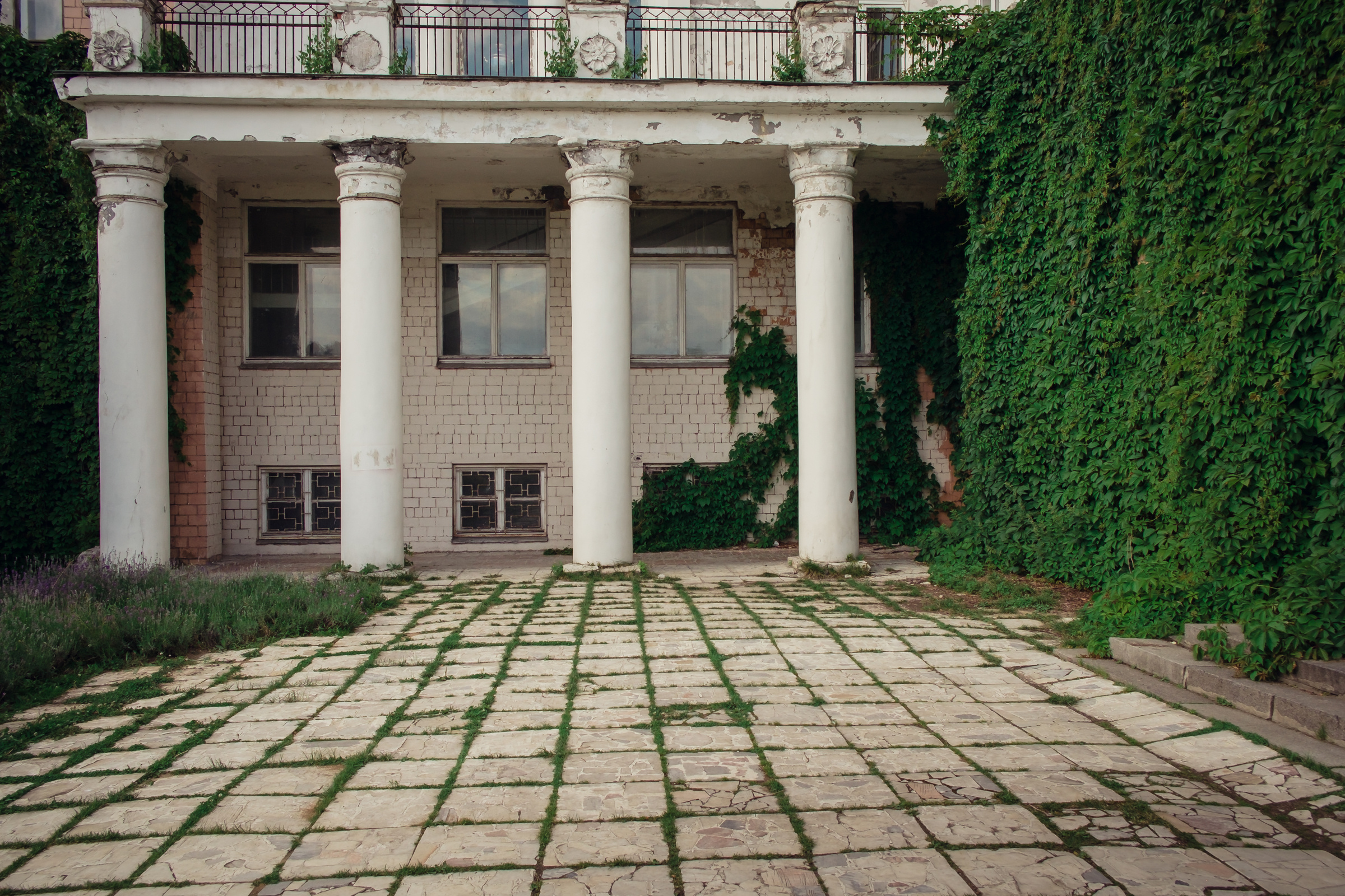 Главный ботанический сад. Видеограф и фотограф на свадьбу в Москве