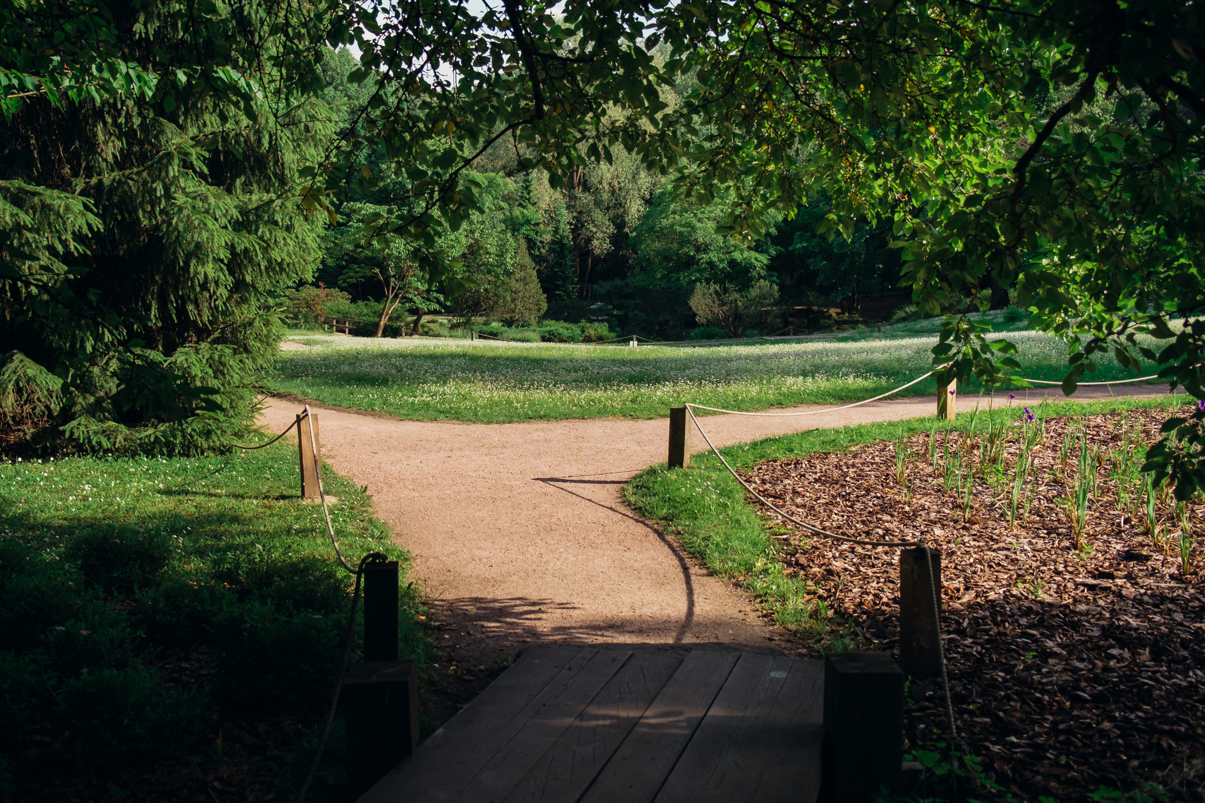 Главный ботанический сад. Видеограф и фотограф на свадьбу в Москве