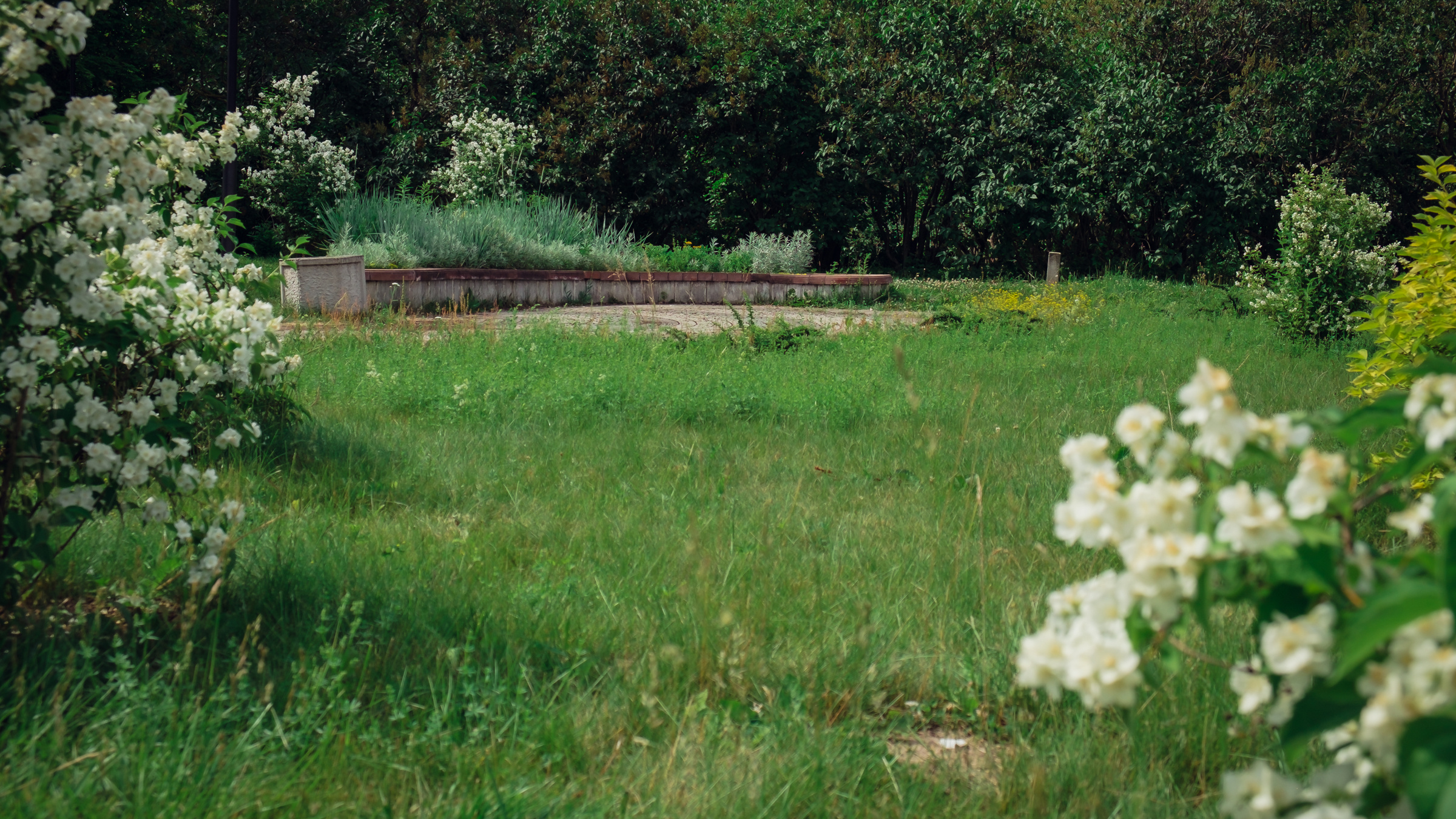 Главный ботанический сад. Видеограф и фотограф на свадьбу в Москве