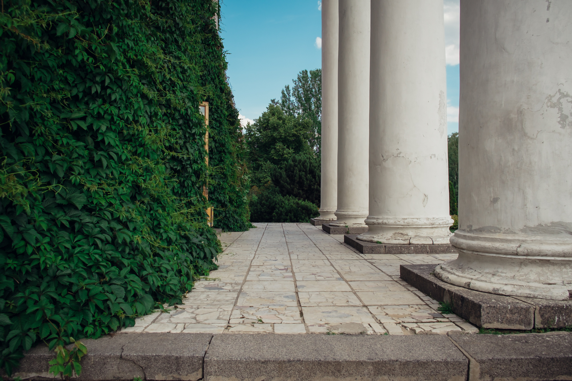 Главный ботанический сад. Видеограф и фотограф на свадьбу в Москве