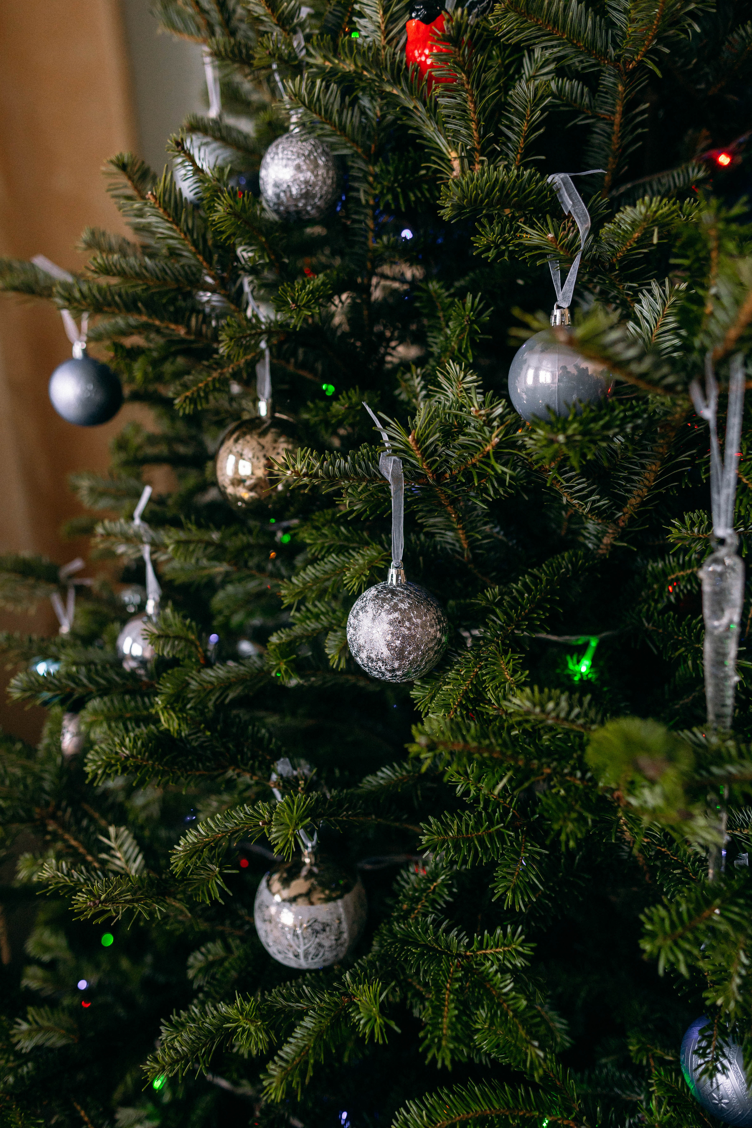 Когда праздник дома. Портретный фотограф в Минске Анна Волейко