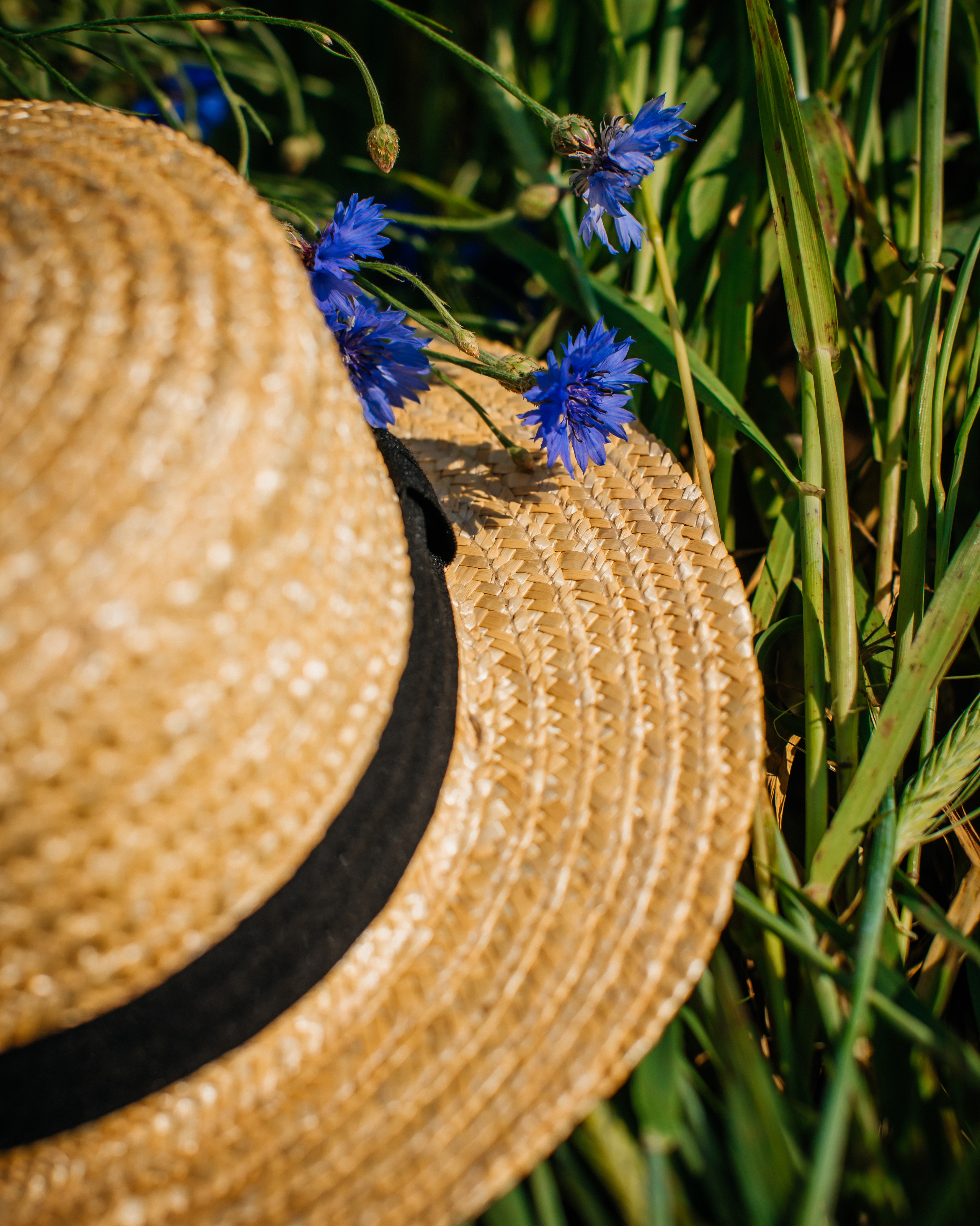 Юная художница Элина. Портретный фотограф в Минске Анна Волейко