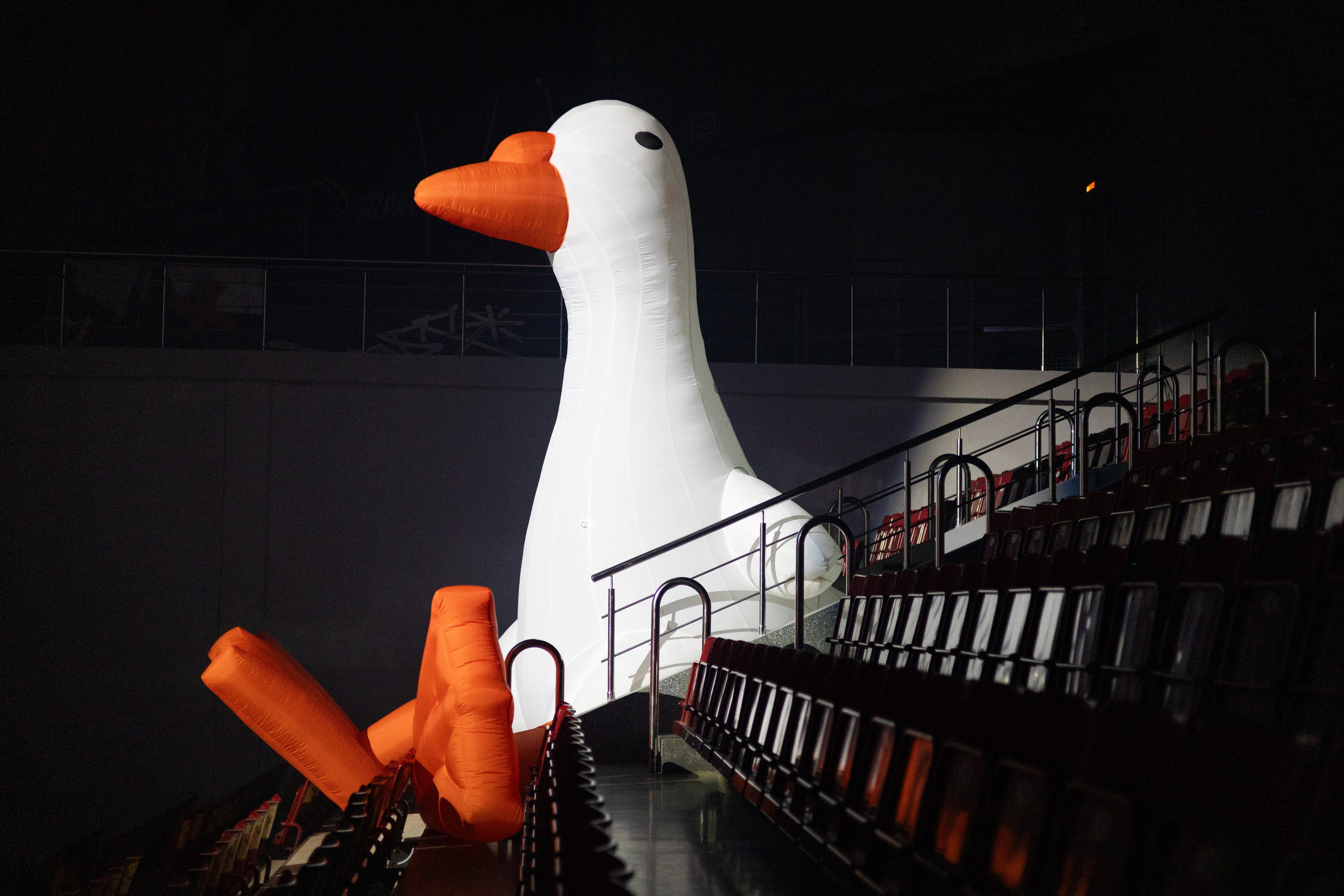 КОНЦЕРТ. Репортажный фотограф Наталья Лапцевич