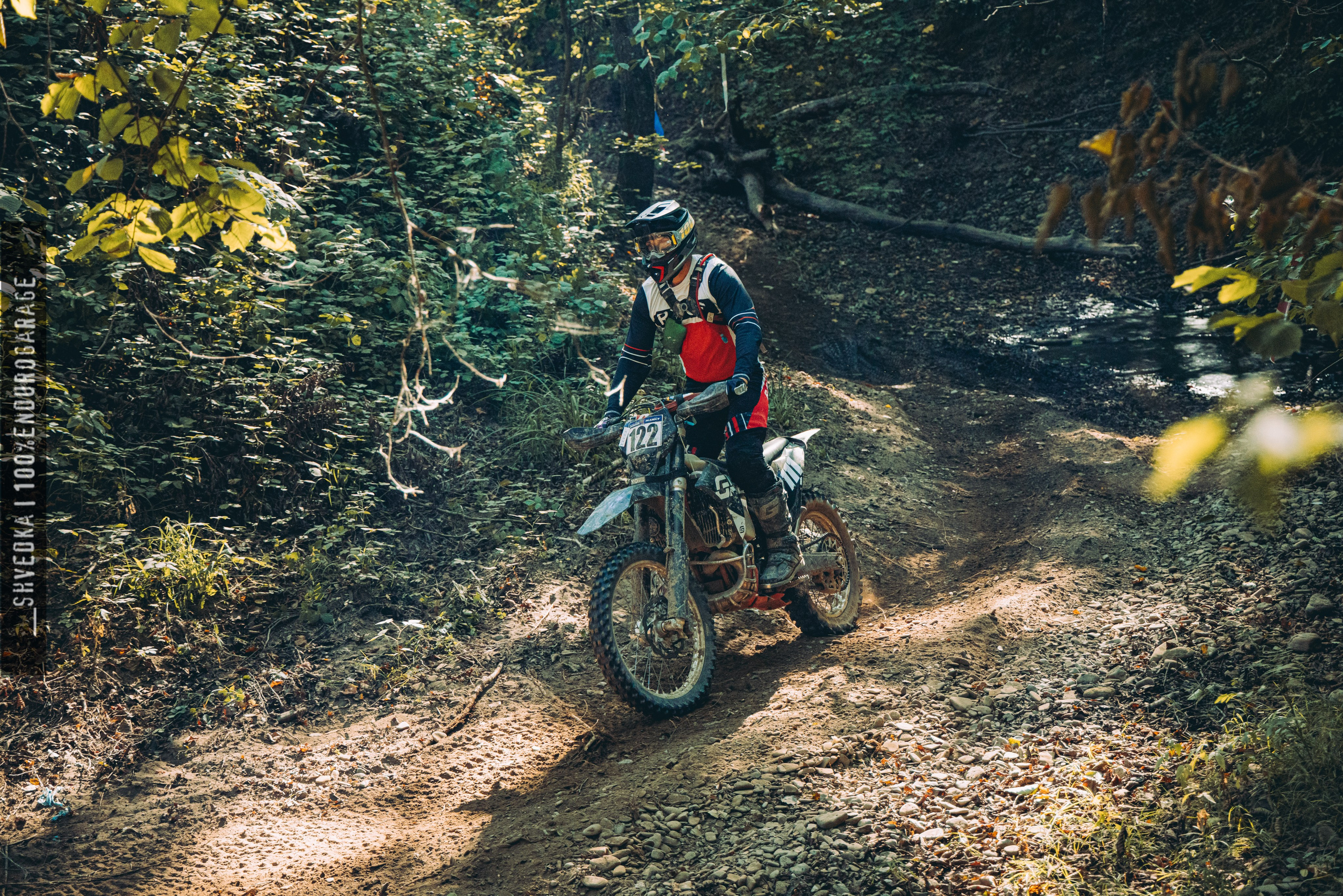 2 лесной день. Ваш экстрим фотограф Кудрева Яна