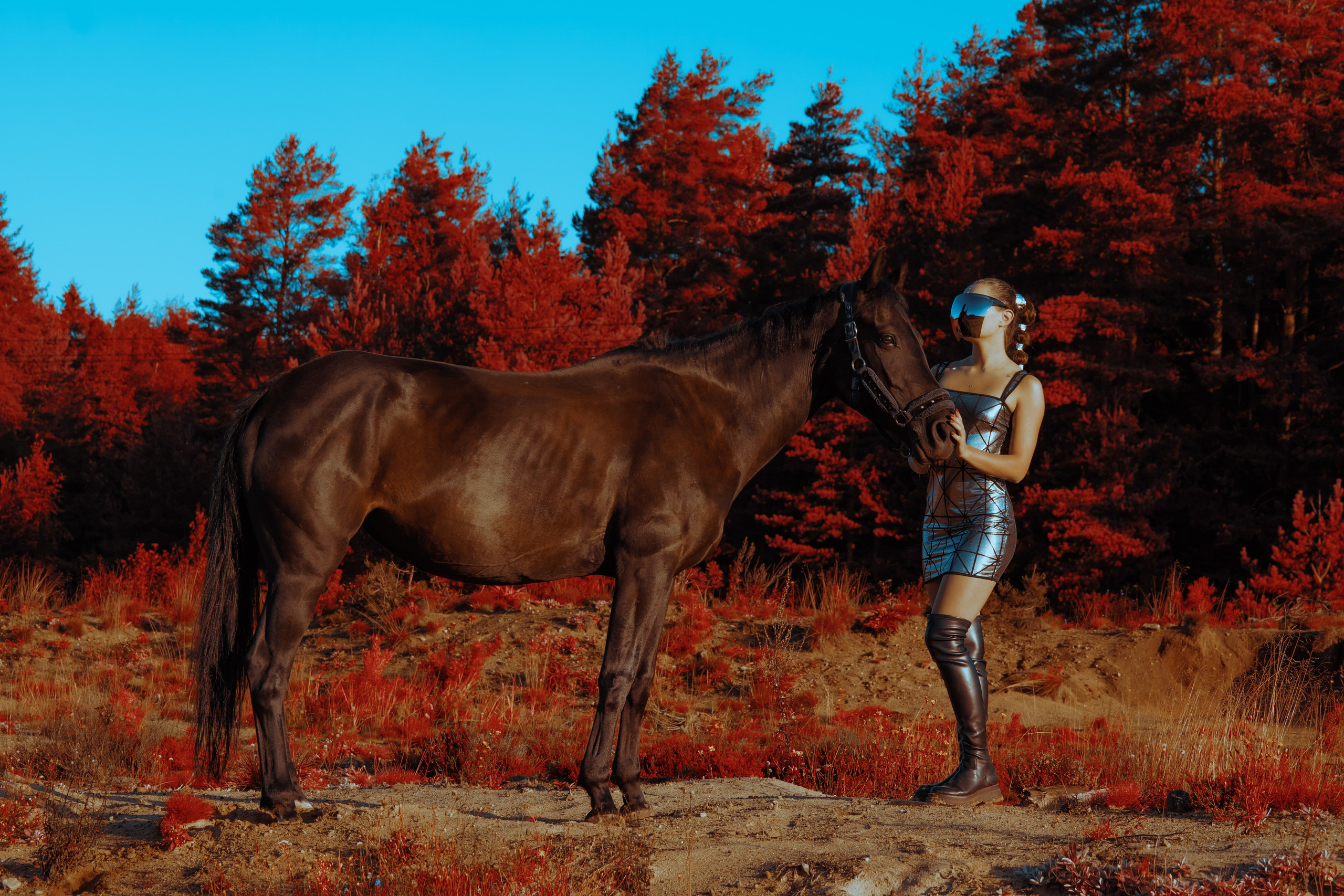 Первый контакт. Конный фотограф в Санкт-Петербурге Анна Лебедева