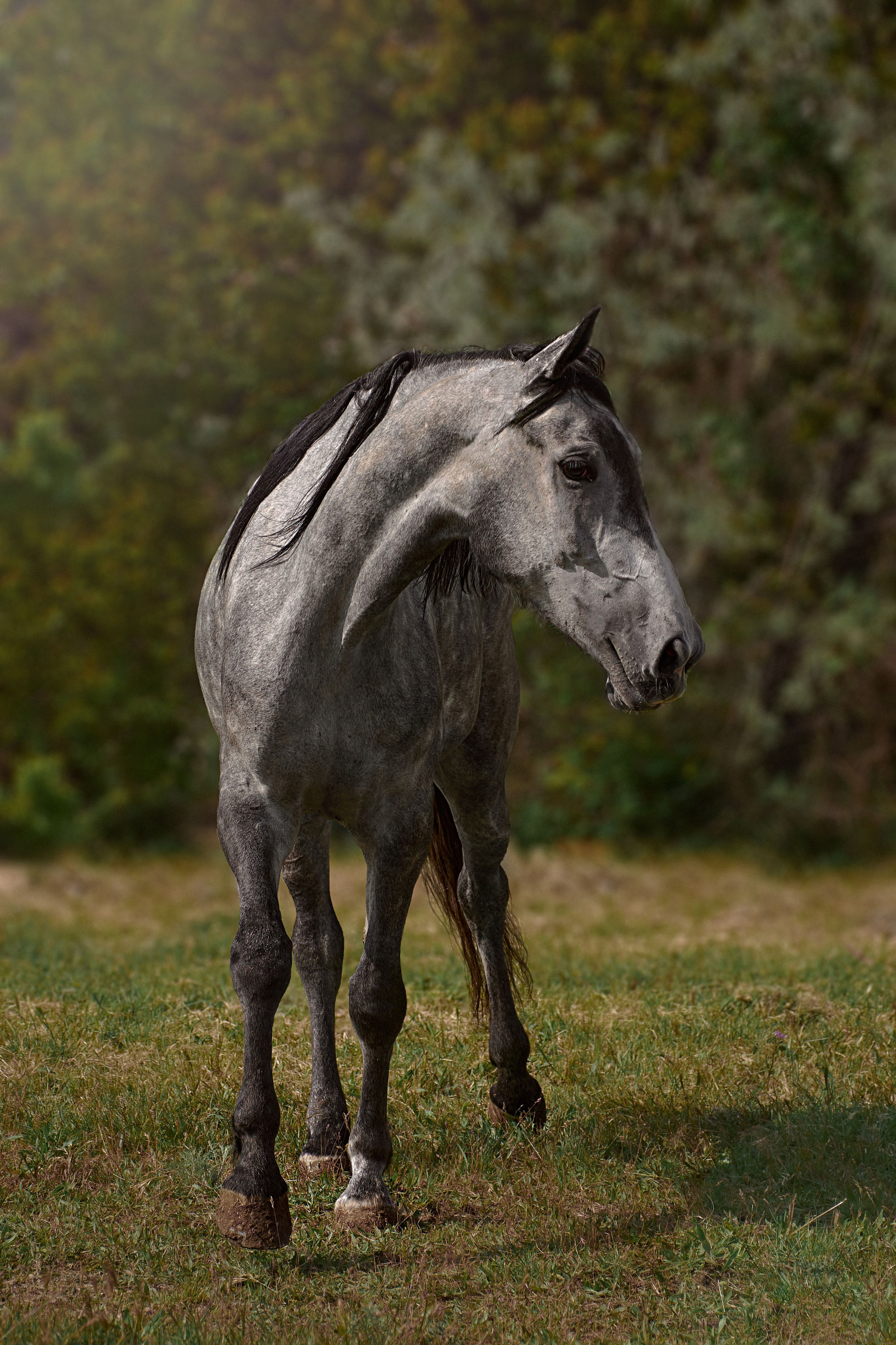 Глазурь. Фотограф в Севастополе