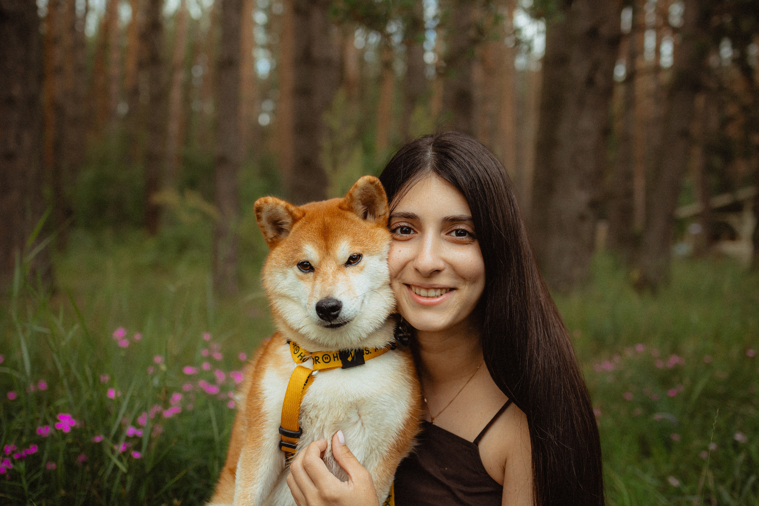 Выездной дог-тренинг от школы «Шерсть имею»
