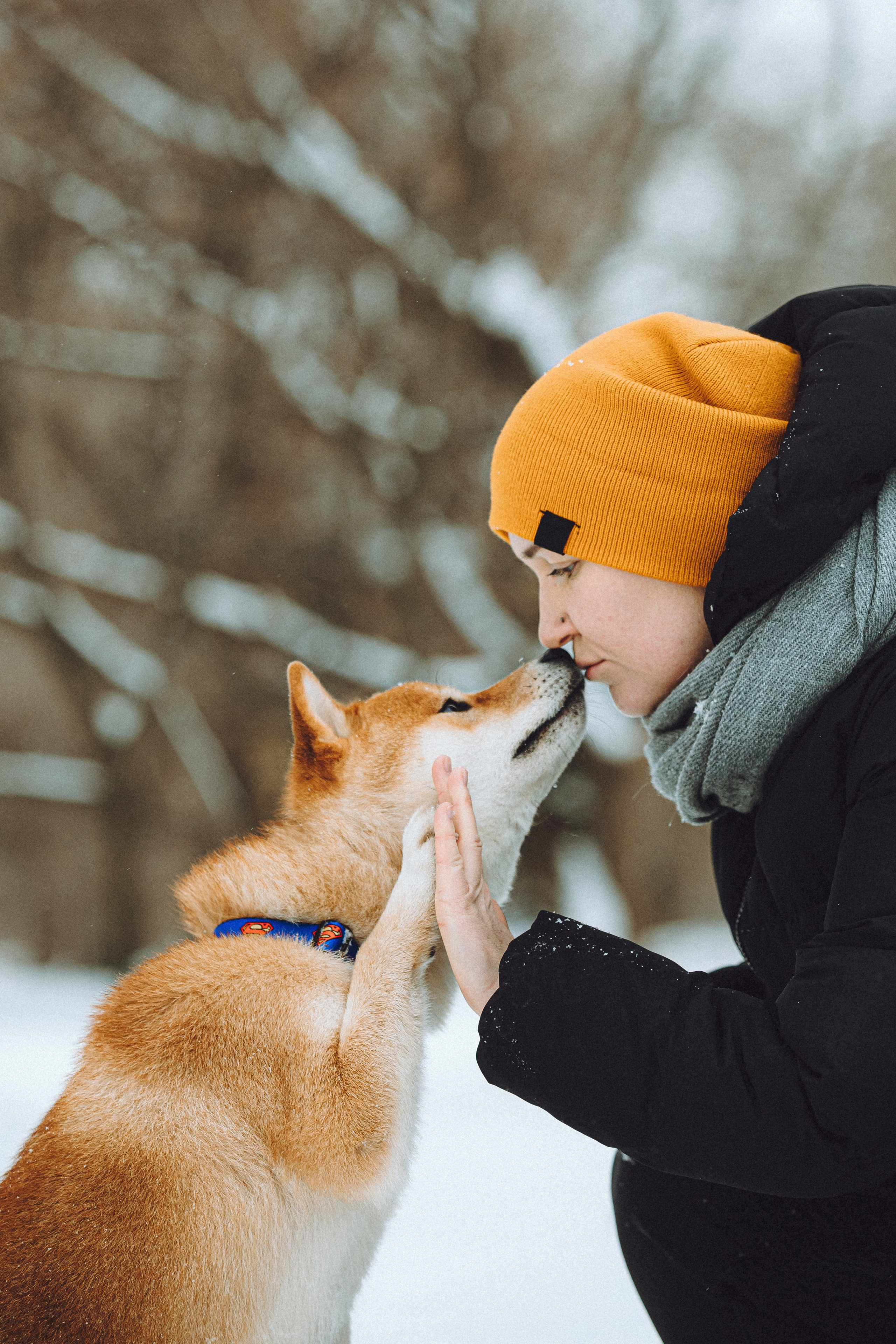 Настя и Ронин
