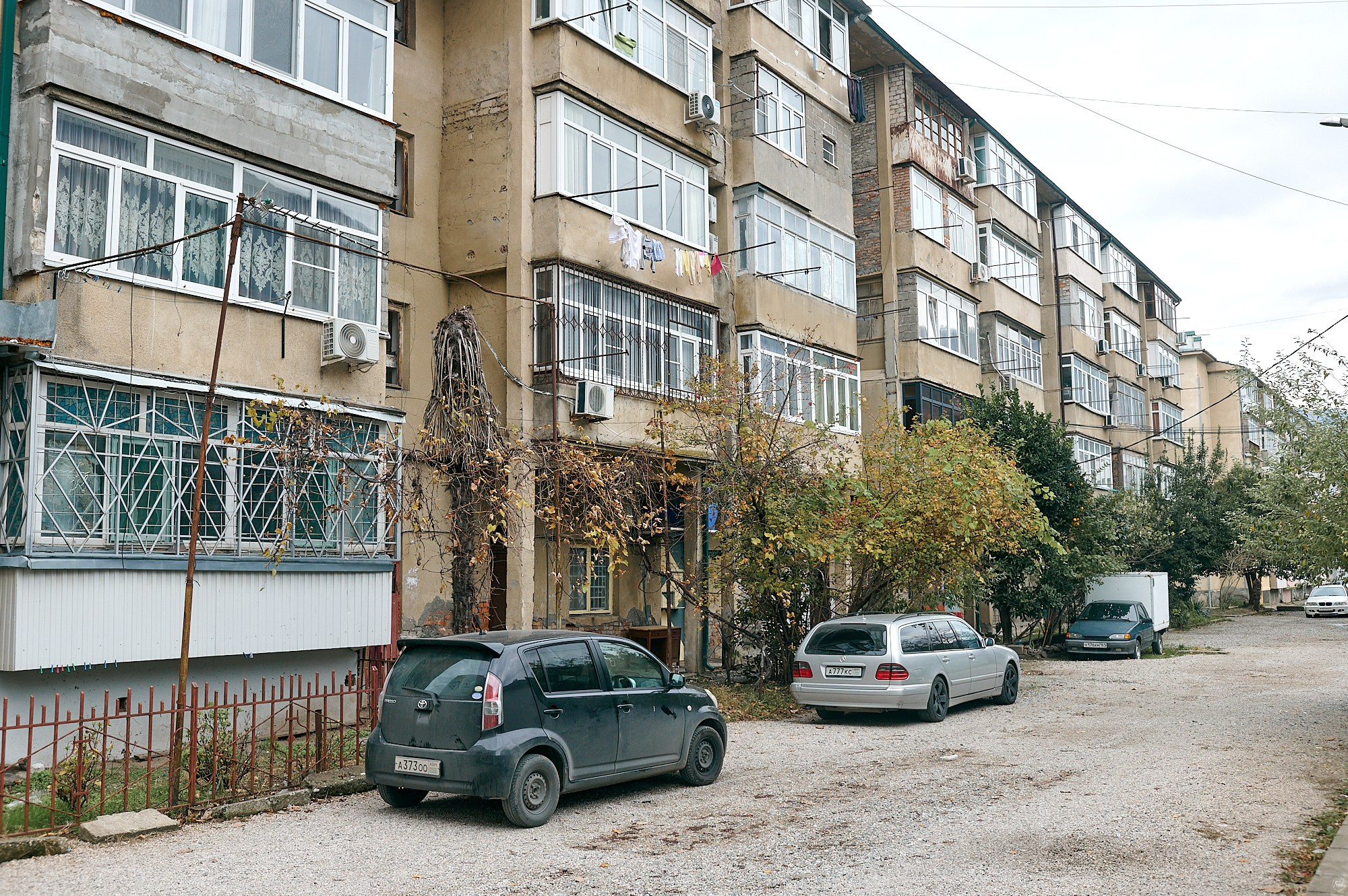 Гагра, Абхазия. Декабрь 2024. Фотографии отовсюду и обо всем