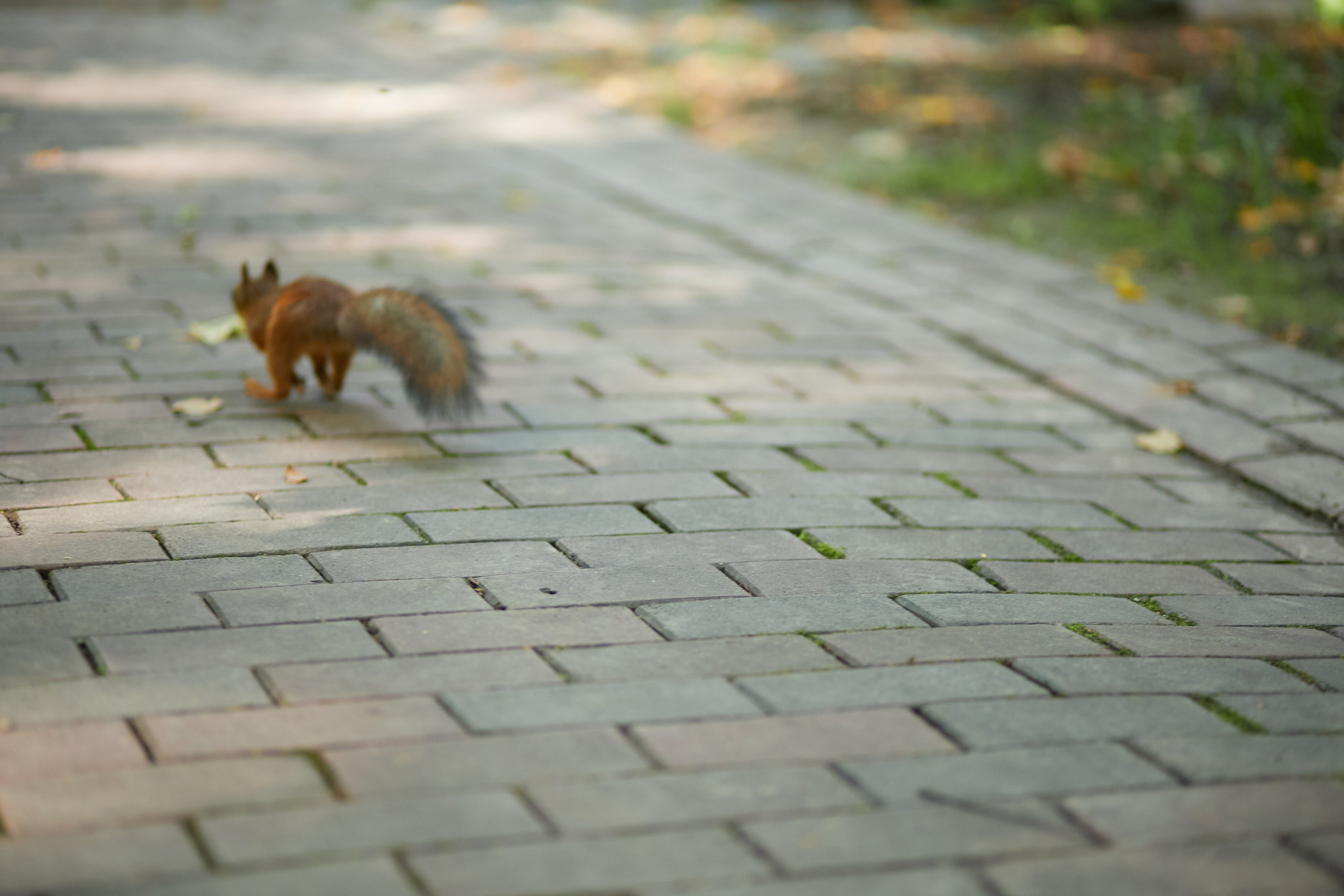 Выставка Сады и Наука. Предметный и контентный фотограф в Москве Курочкина Оксана