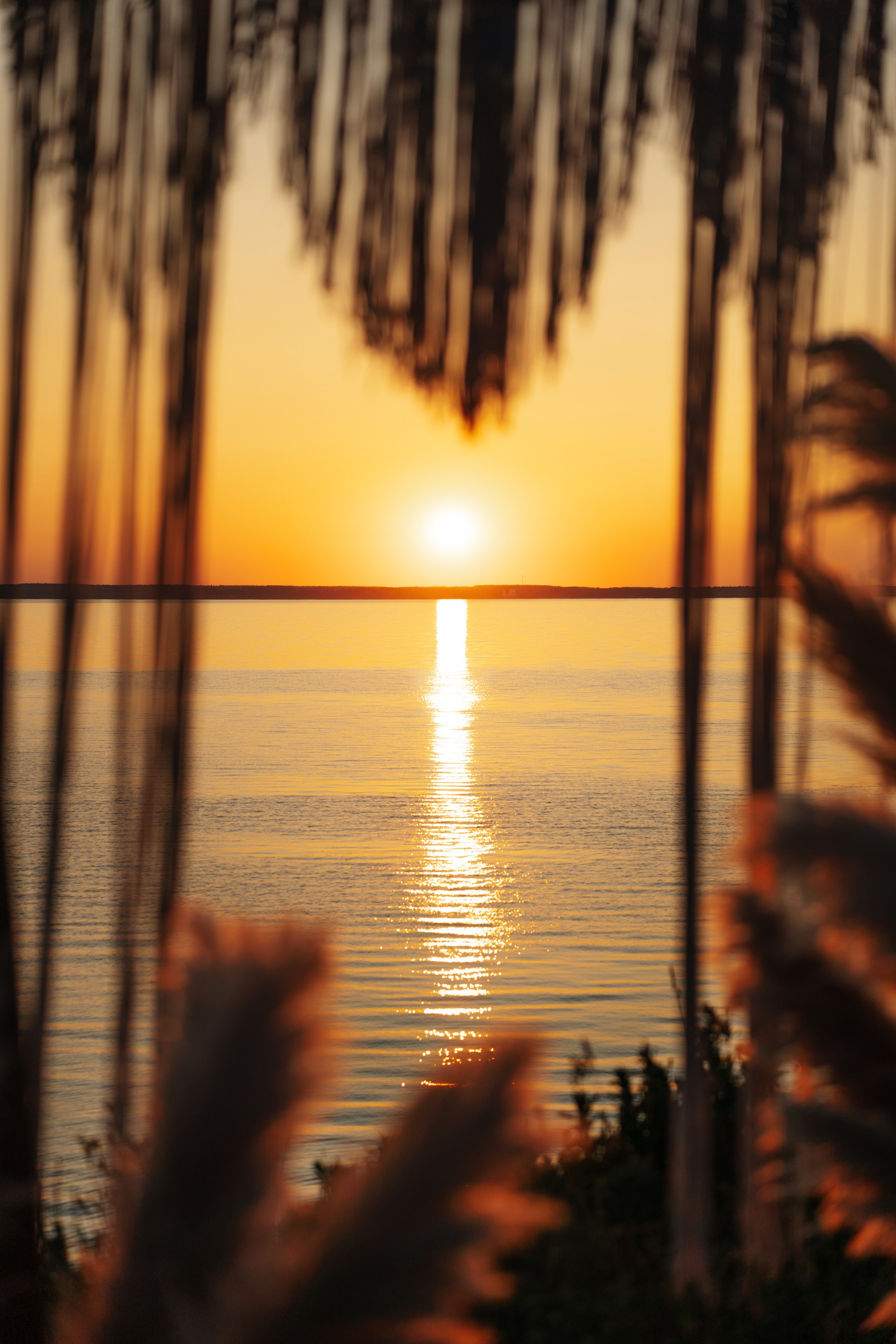 Рита и Сергей. Свадебный и семейный фотограф Кокушева Юлия Нижний Новгород