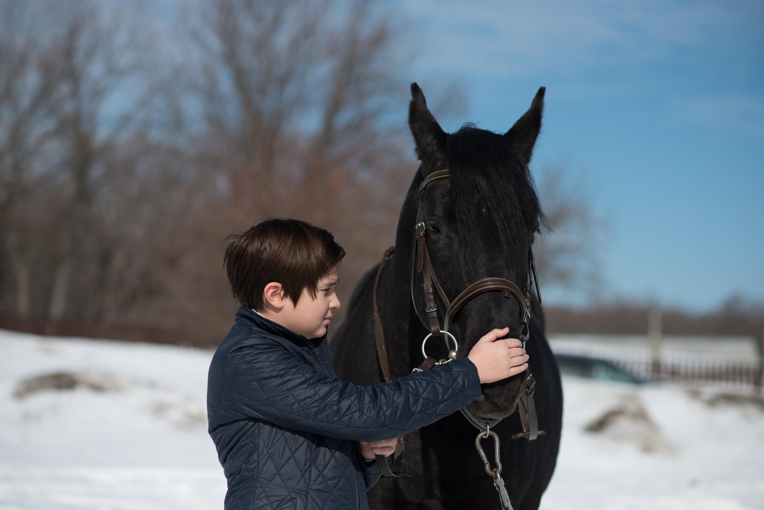 Дети и лошади. Конный фотограф в Саратове Юлия Иванова