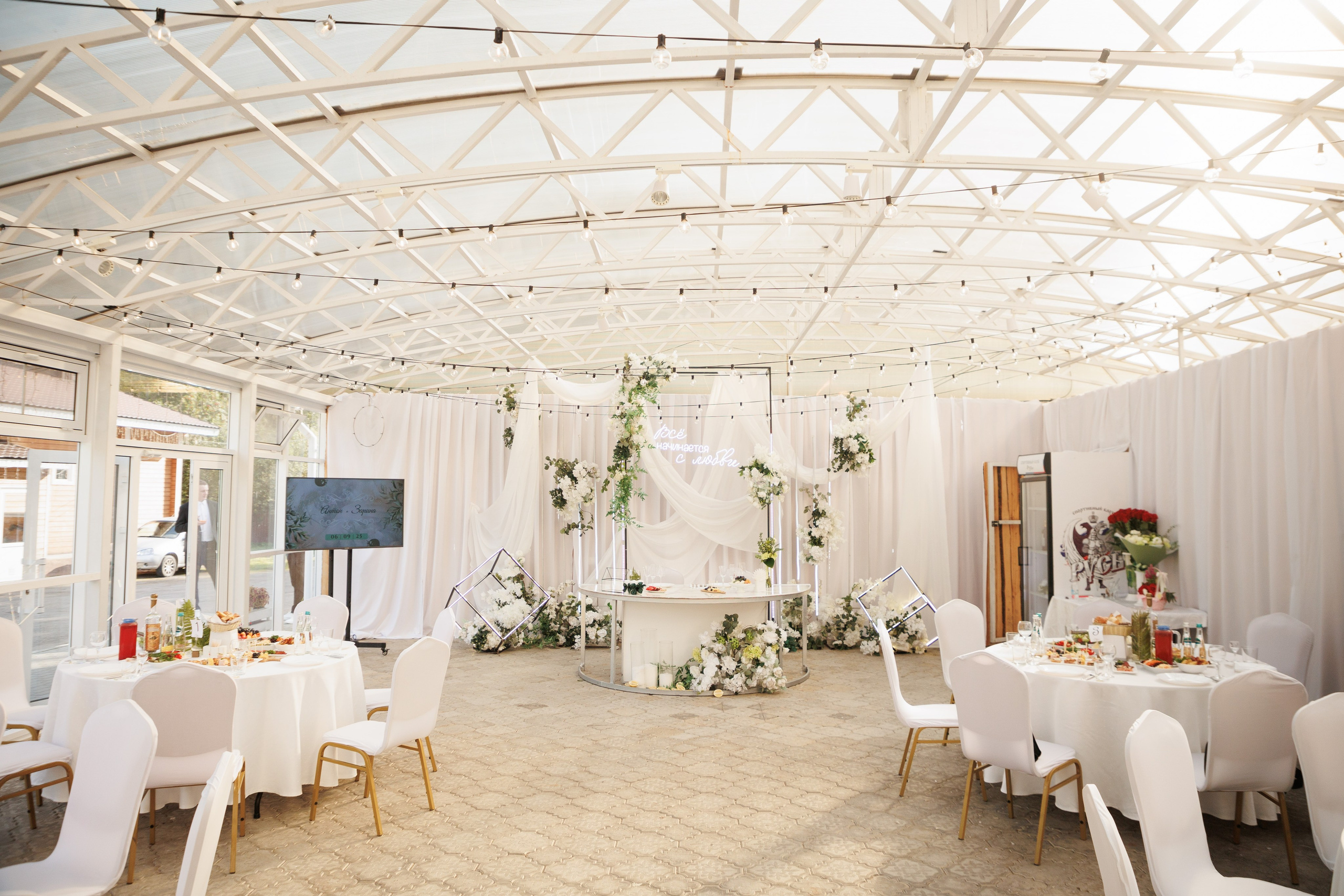 Сентябрь 2025, Белый лис, Выкса. Фотограф городских и семейных событий в Нижнем Новгороде Артем Карпухин