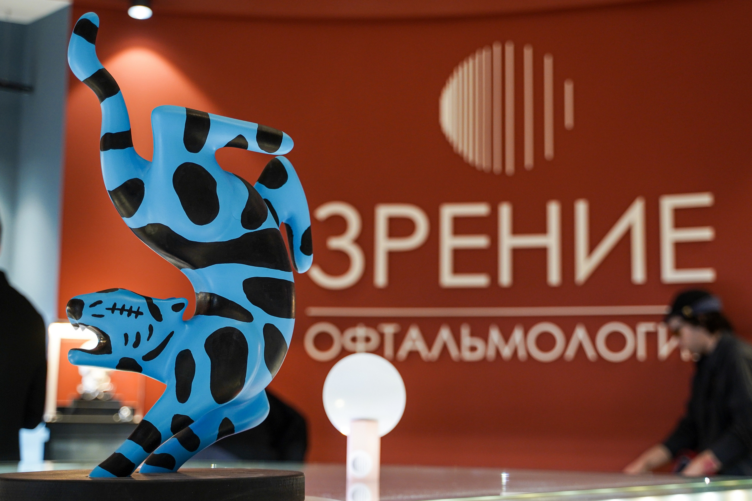 Аукцион в «Зрение». Фотограф и видеограф Евгений Романов Санкт-Петербург