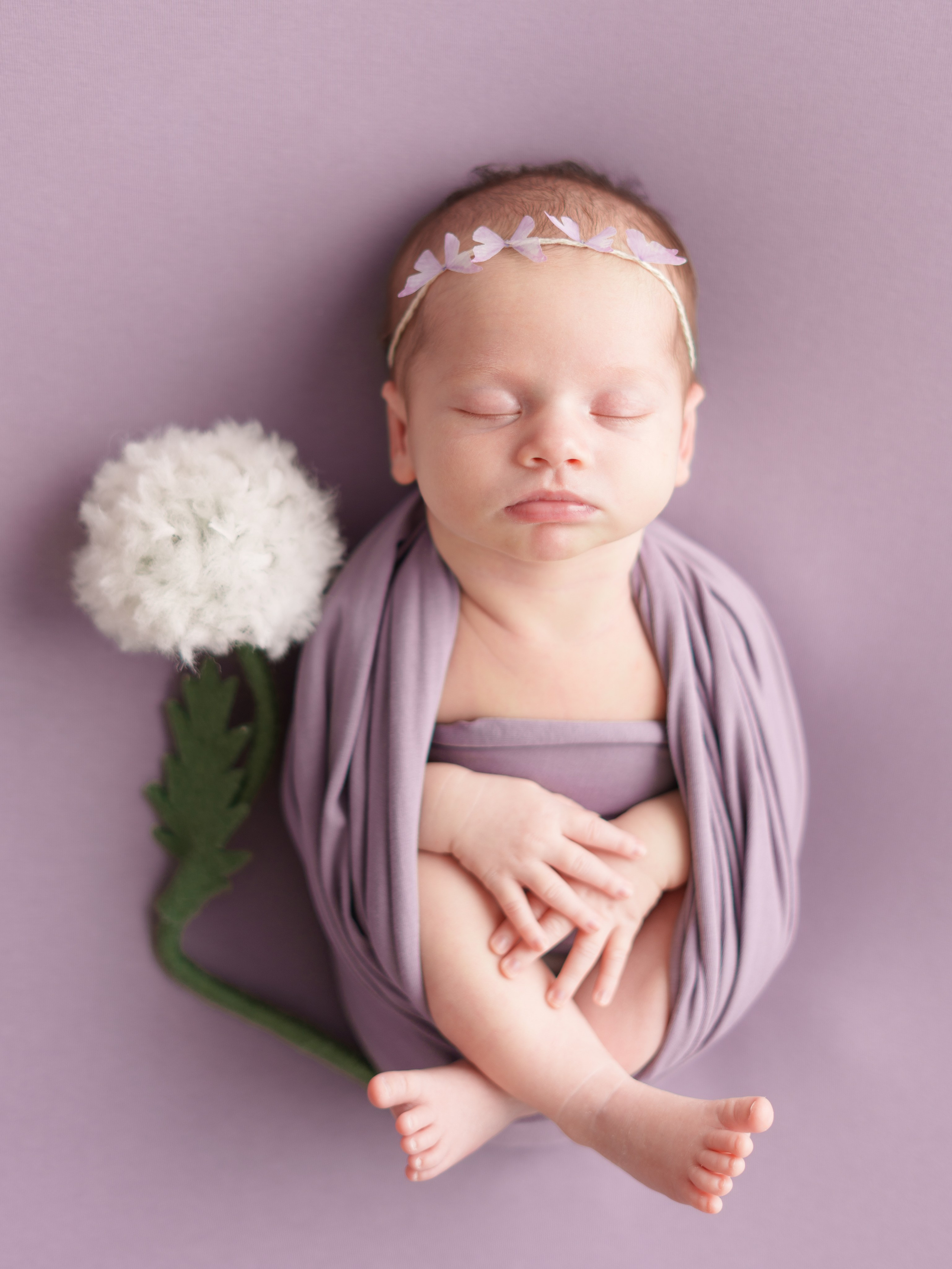 ✨. Профессиональный фотограф новорожденных Тверь