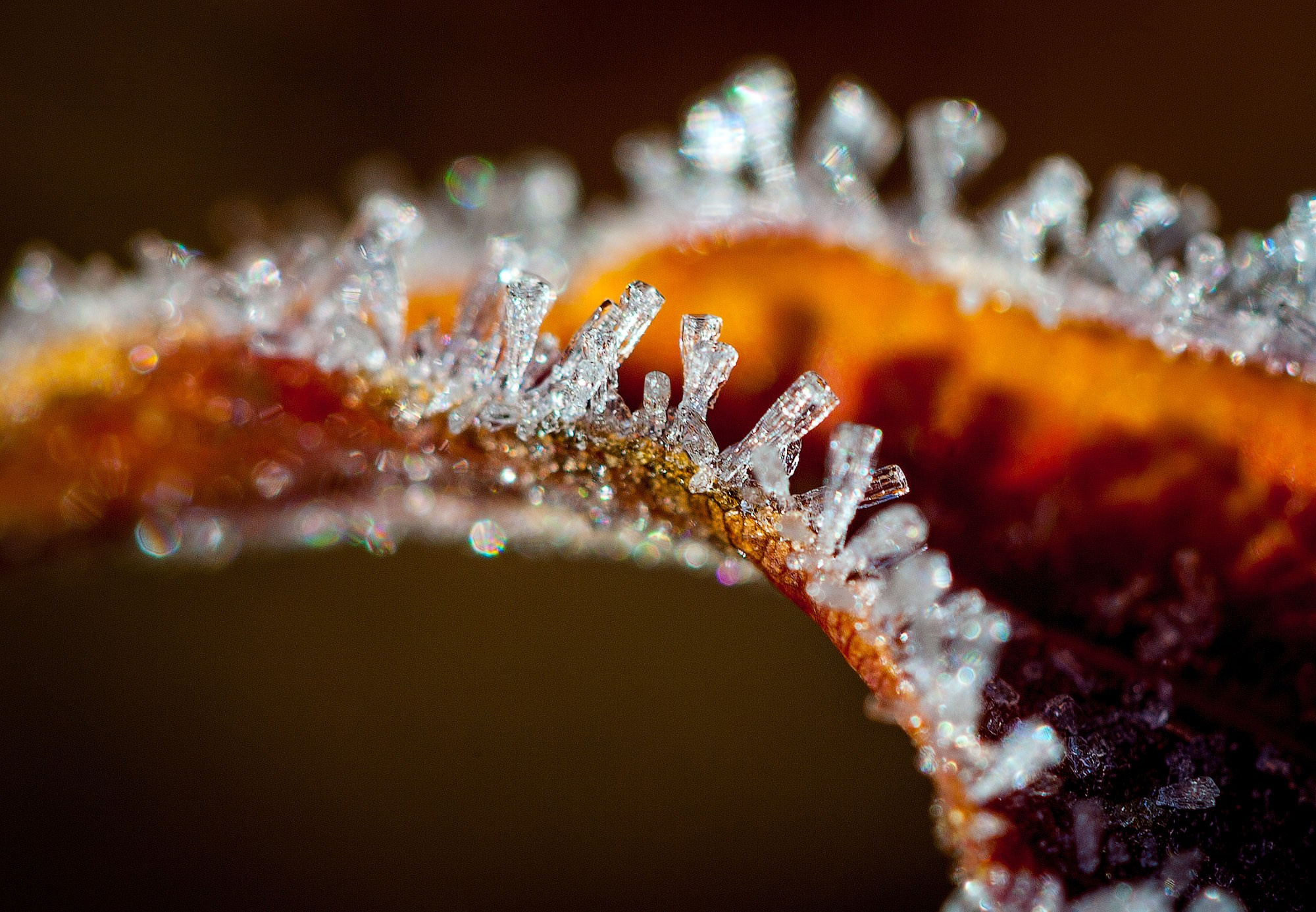 свадебный фотограф Геленджик