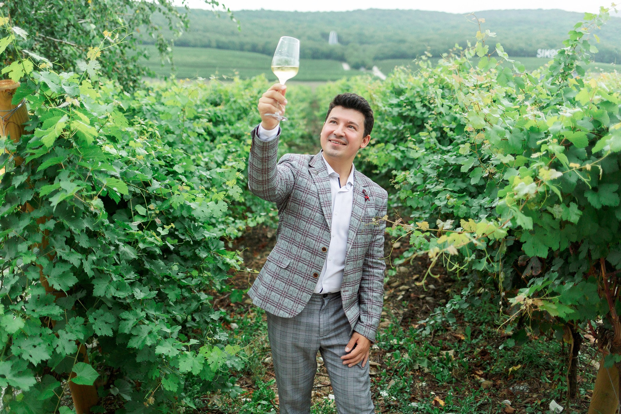 портрет сомелье 