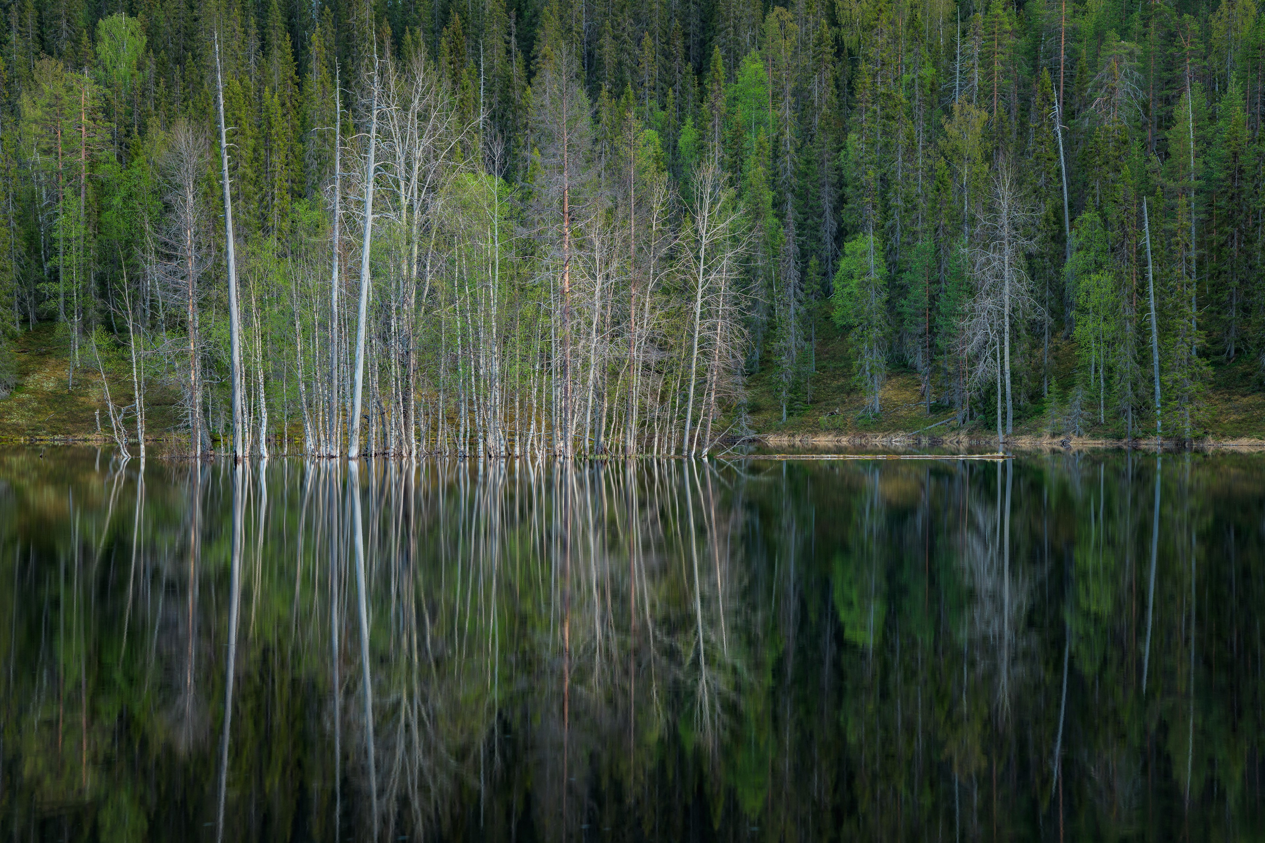 Начало лета в Короуоме. Северные Ночи